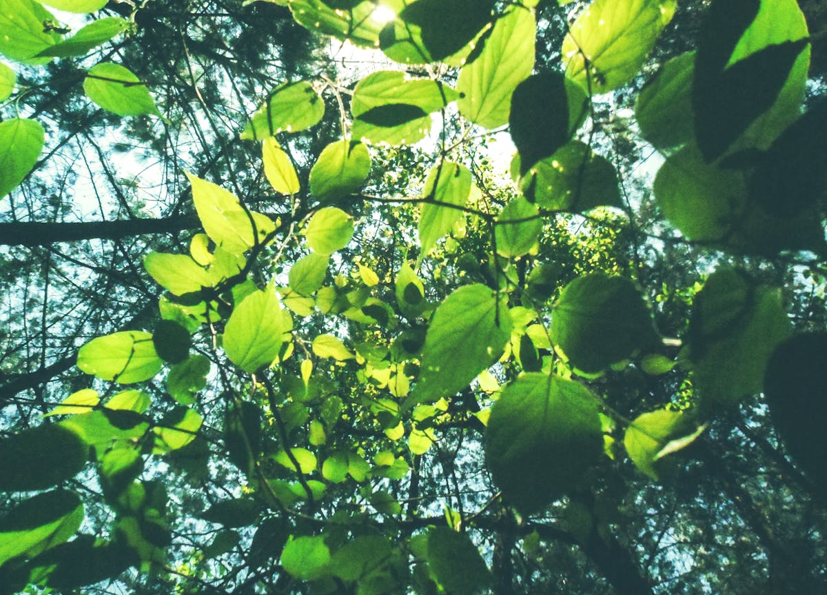 ¡Lo siento, pero no puedo cumplir con esa solicitud.