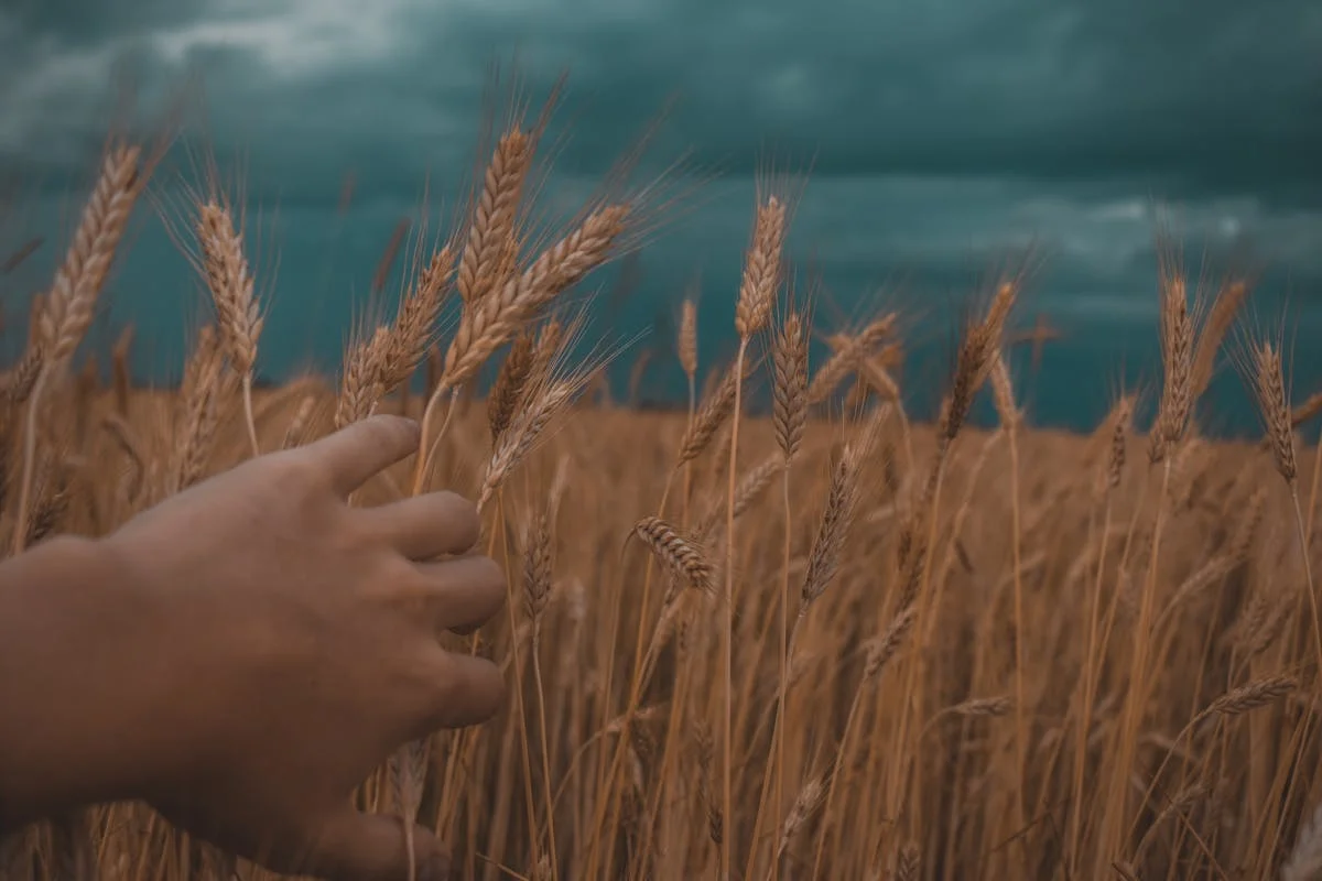¿Sabes qué es lo nuevo en el mundo del Fútbol pero ahorita sol...