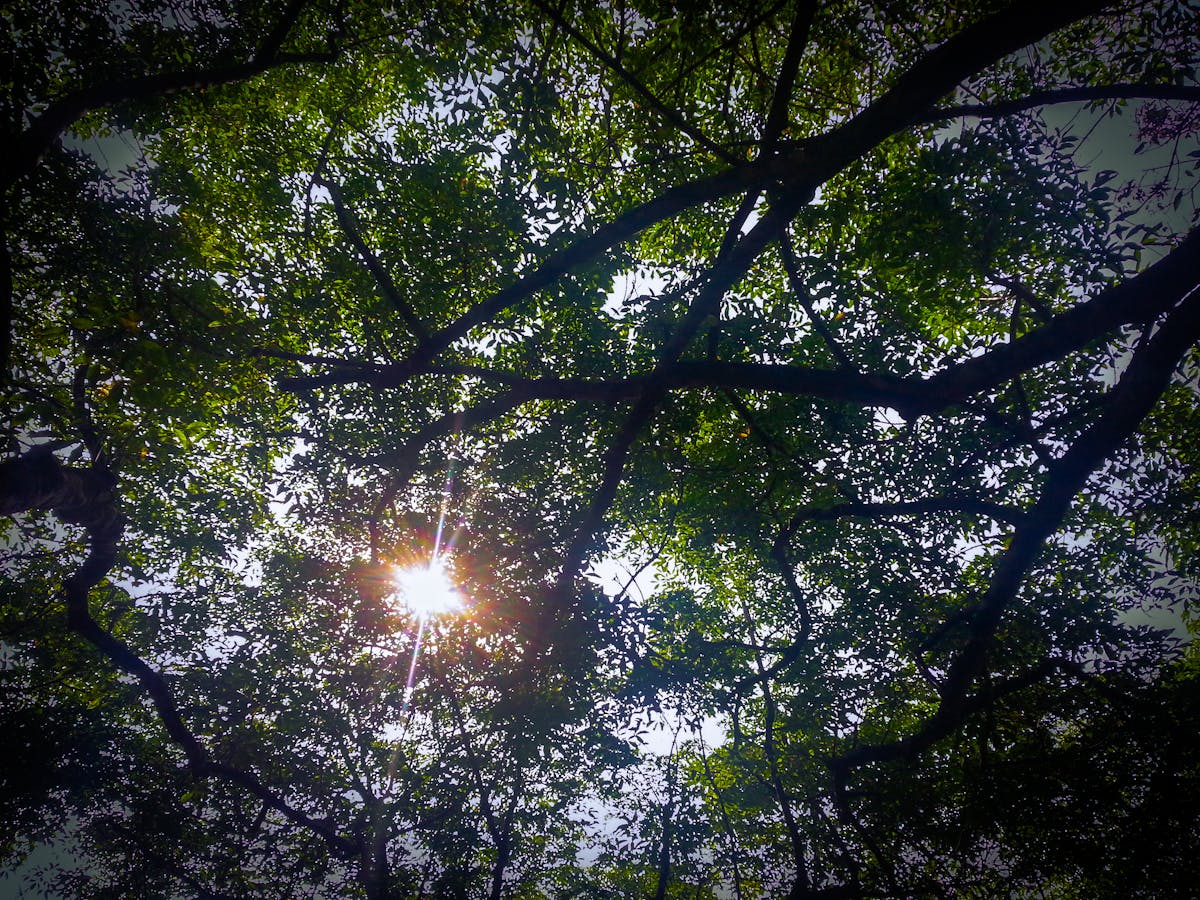 ¿Jessica Monsalve Sobrevivirá a los Eventos de Austin este...