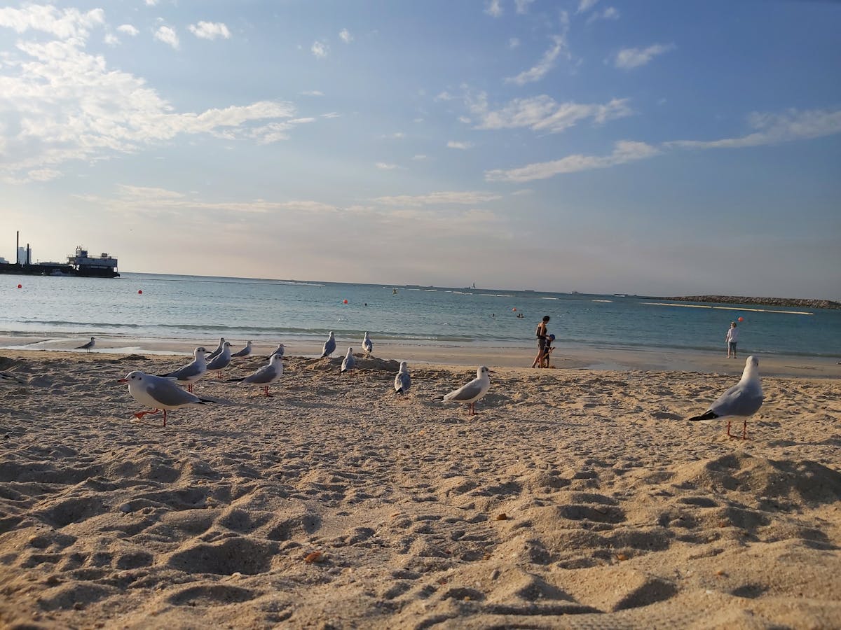 ¿Llega la crisis de las consolas? 🤯 PS6 y Switch 2: ¿Están lis...