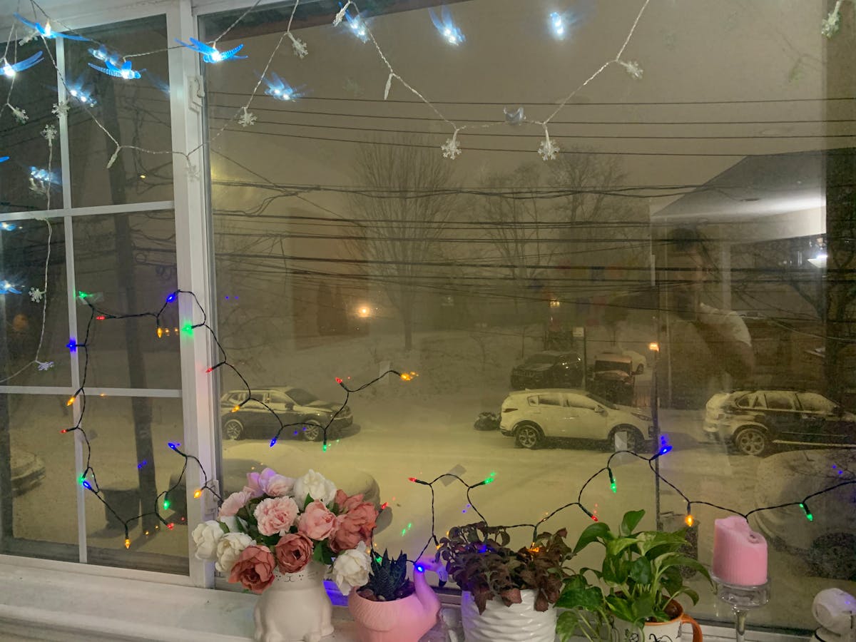 ¿Tu Hotel de Vacaciones es Hackerado o Solo Finge?