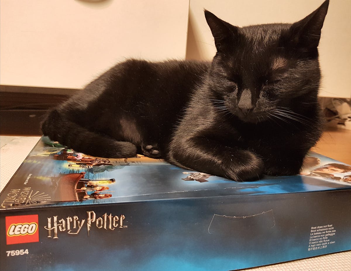 🤔 ¿Aranceles Caida, Acuerdos Cadáver?