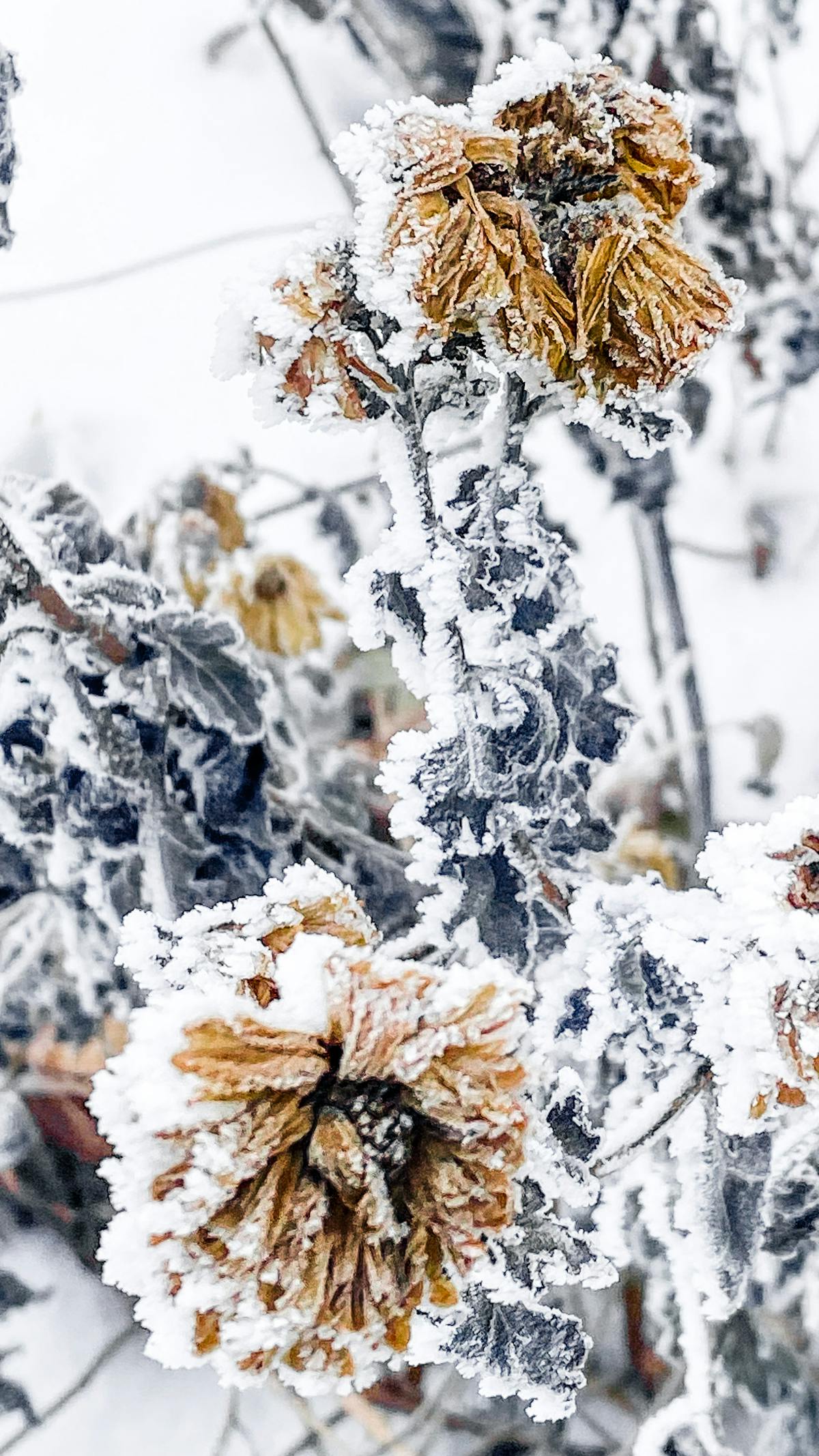 ¿Estás Archivando o Solo Enviaras Todo al Infierno?