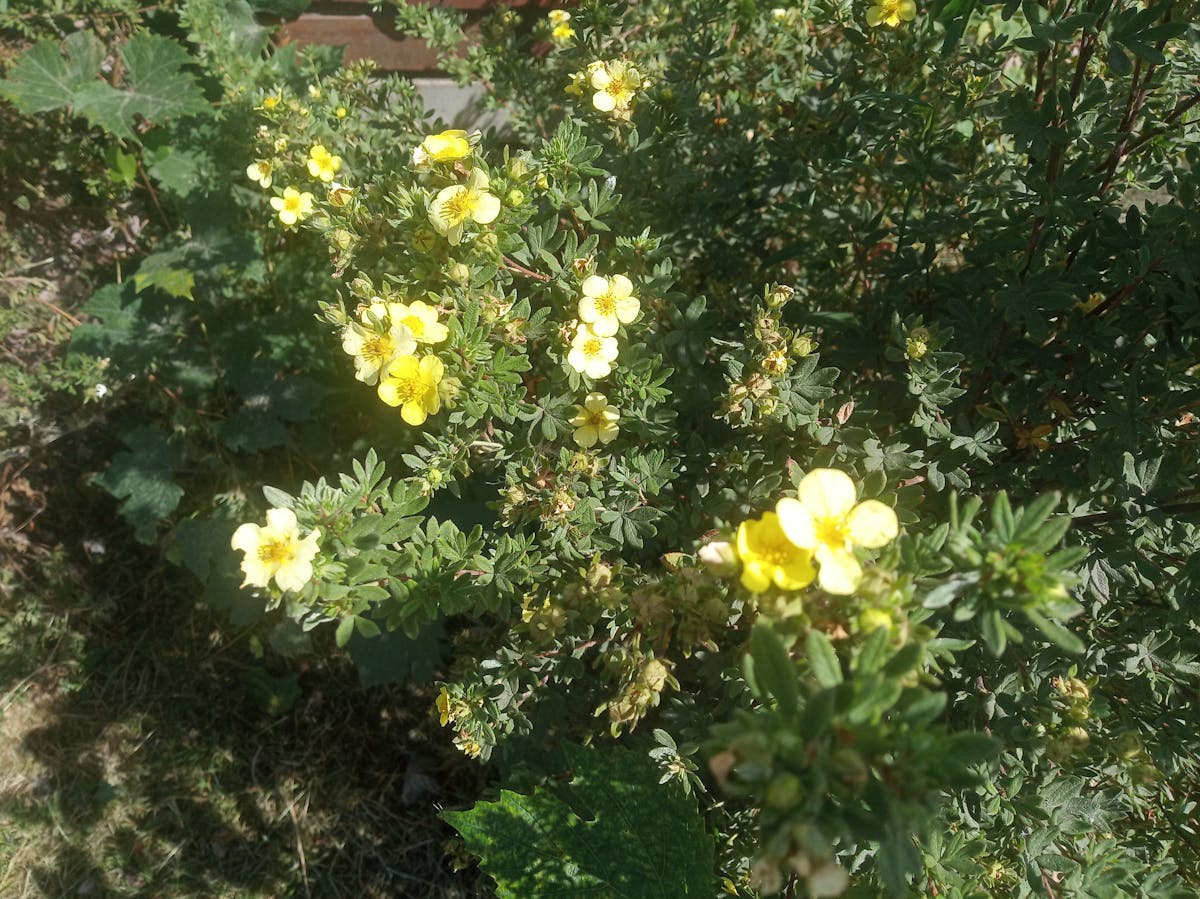 ¿Quieres ser el jefe de Unilever y cambiar tu vida para siempr...