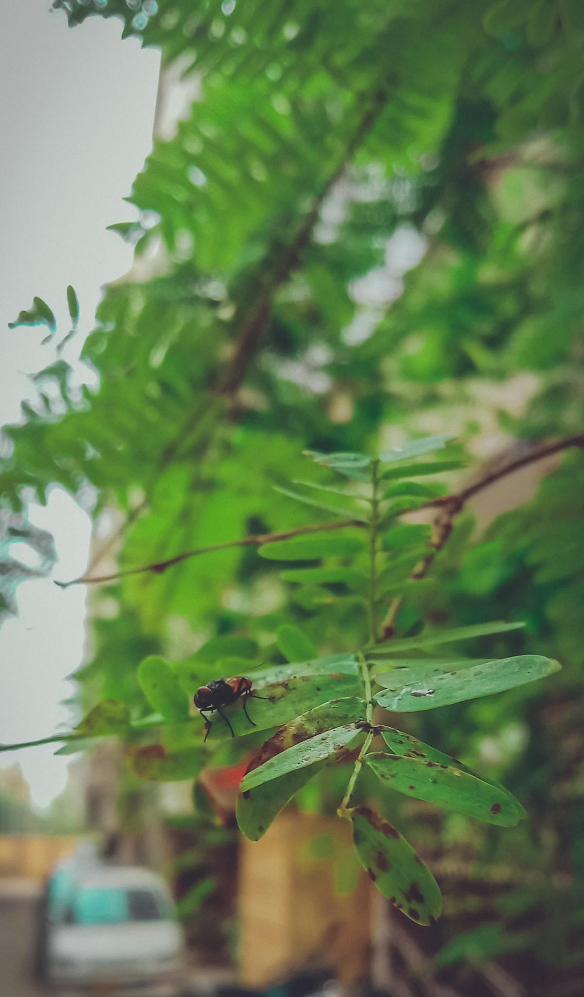 ¿Quién se queda sin gol o se lleva la Copa? 🏆 5 Empresas q...