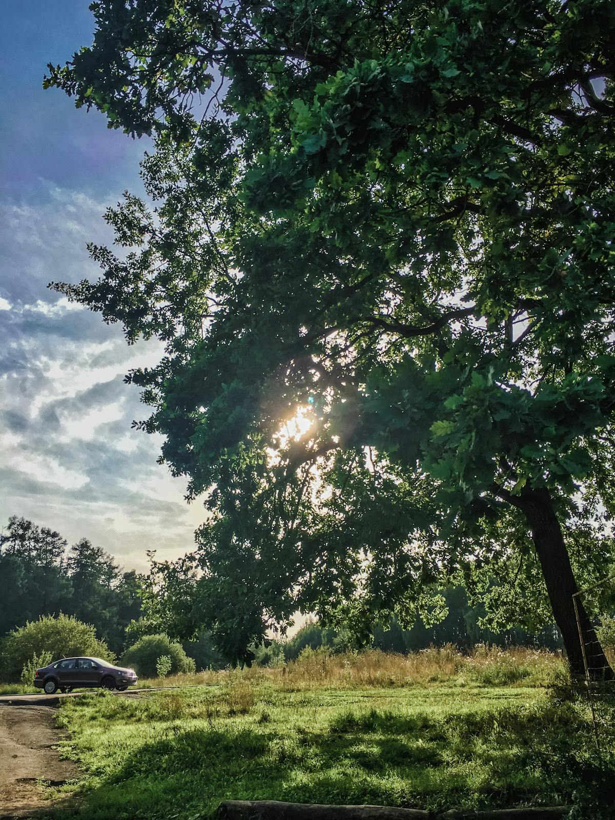 ¿Arrascaeta Ya Dejó de Ser el Mejor? 🤷‍♂️