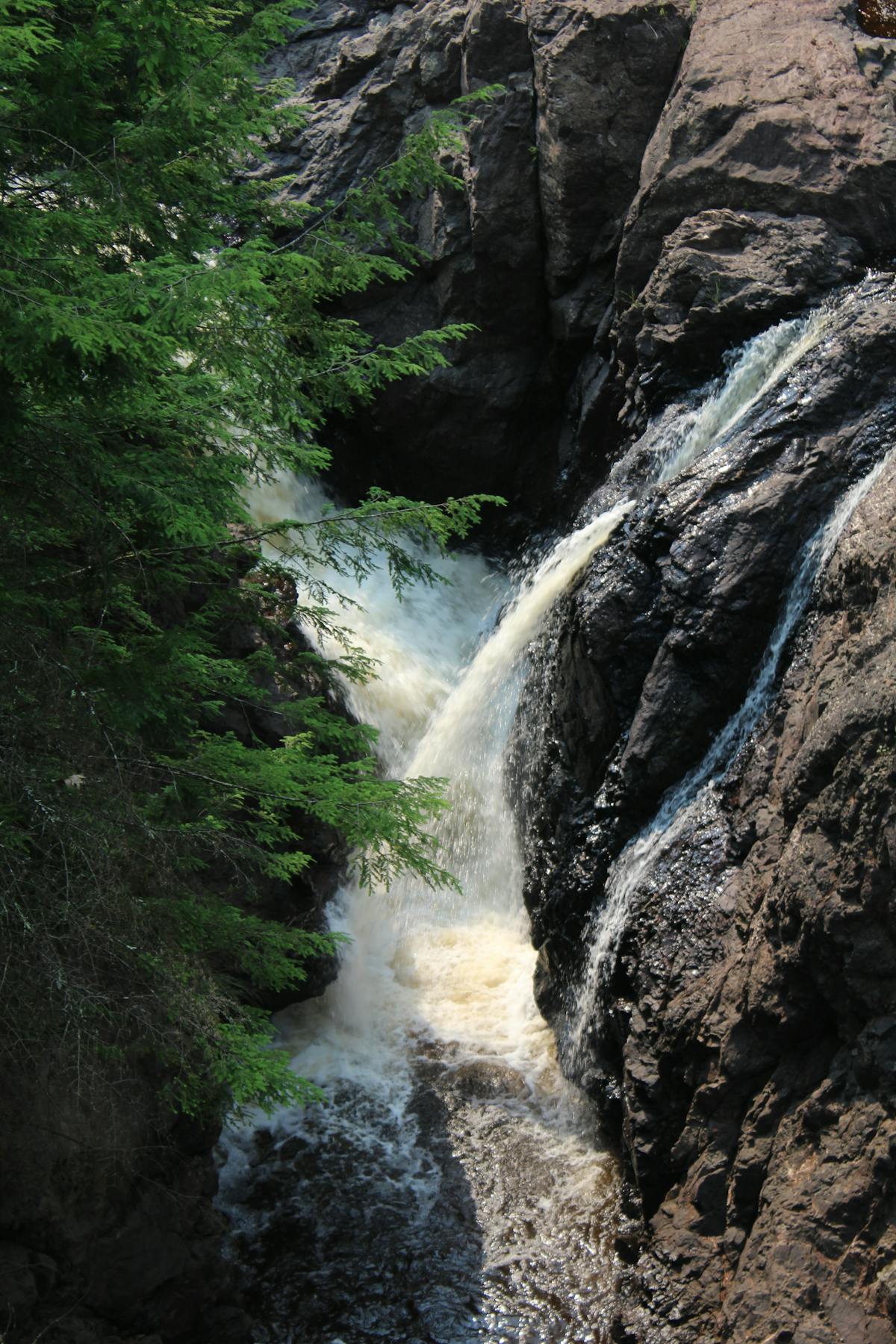 🚫 ¿Qué pasó con la liberación de los tigres humanos en Honduras?