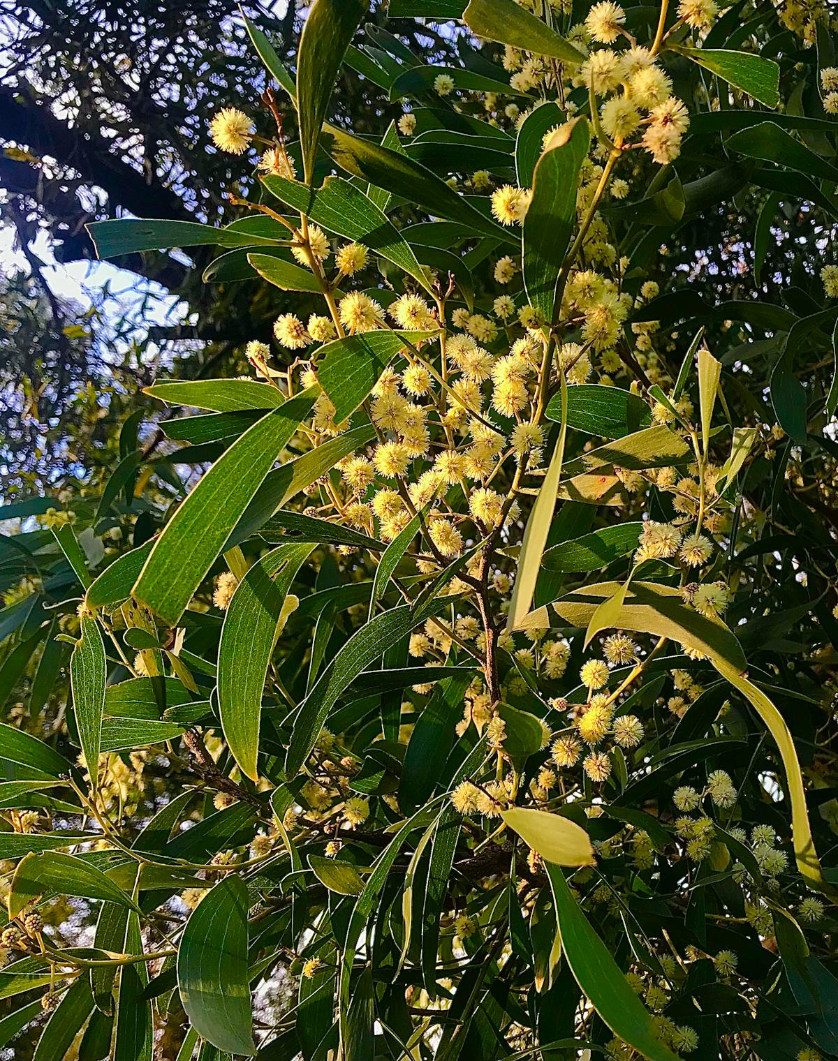 ¿La UE se va a morir de hambre? 🤯️ Tras la guerra arancelaria ...