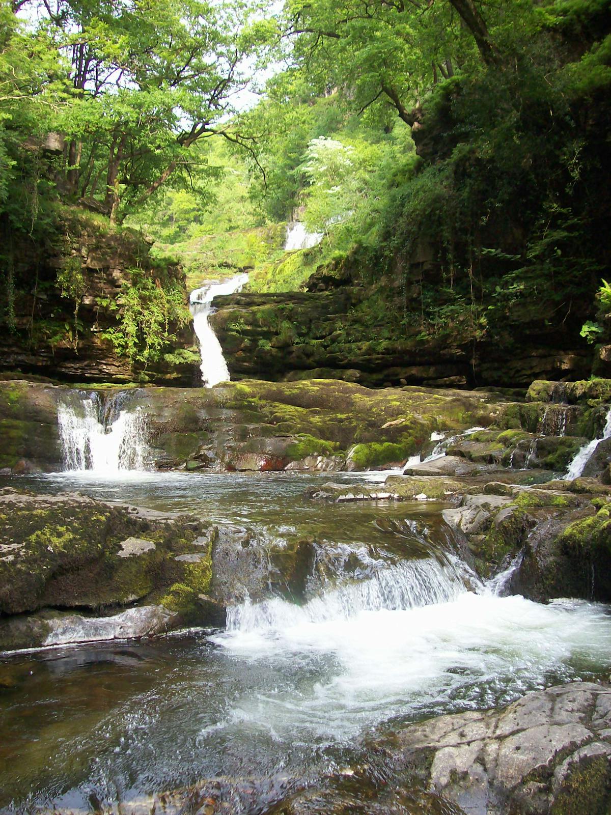 ¿Te Dijeron que la Ciberseguridad para Mujeres es Solo Pon...