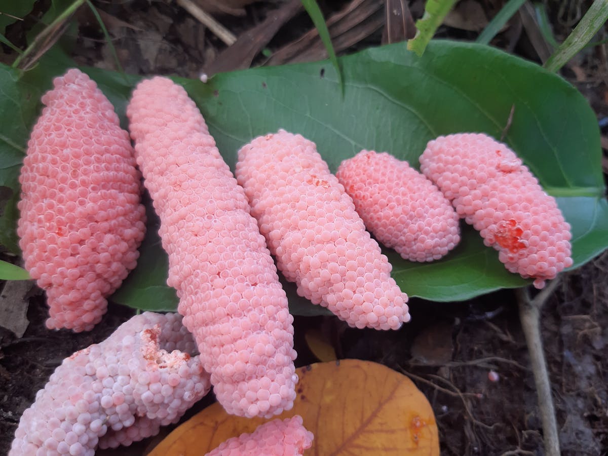 ¿Tu Empresa Es Una Ciudad Blanca o Solo Finge Cibersegurid...