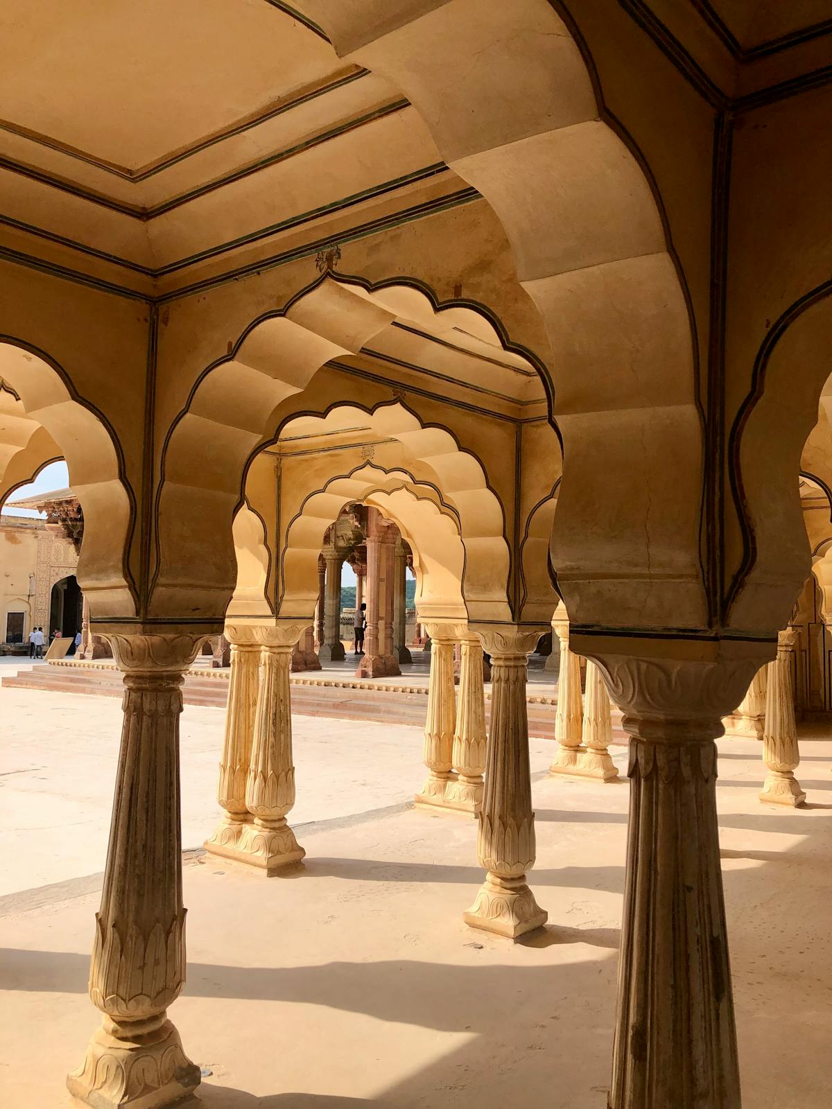 ¿La Fibra te Salva o Solo te Roba la Billetera?