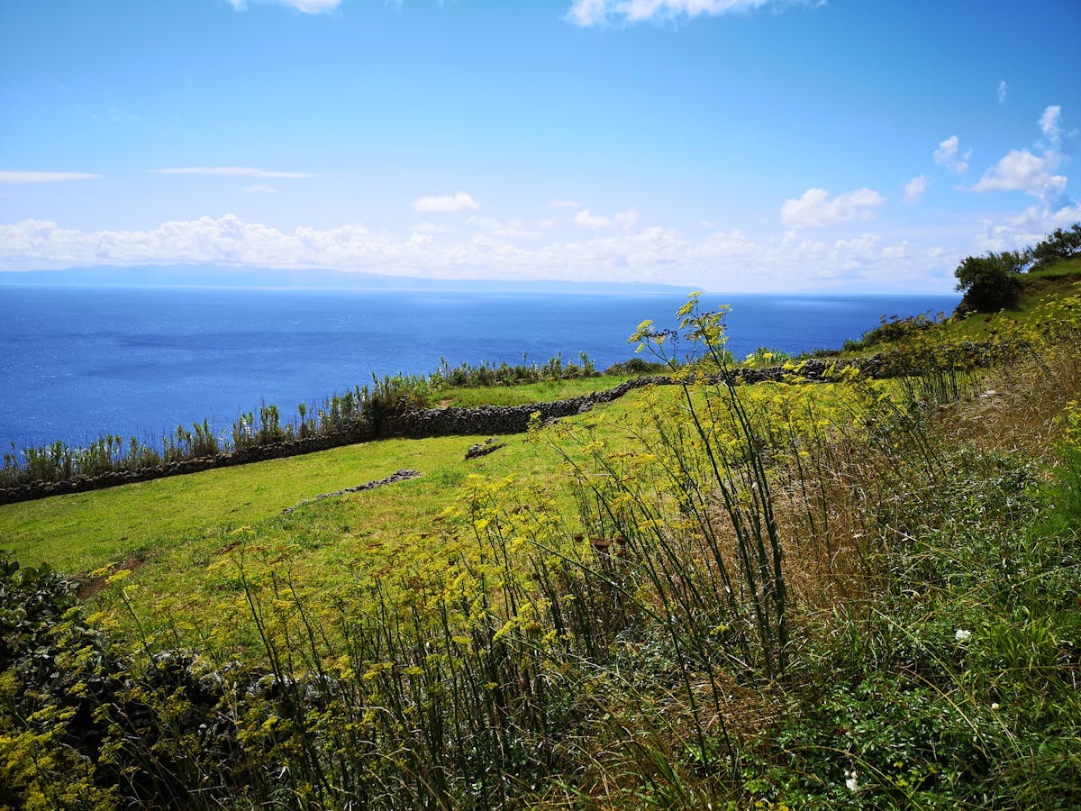 ¿El Ciberataque Perfecto? ¿Quién es el Hacker que Roba la ...