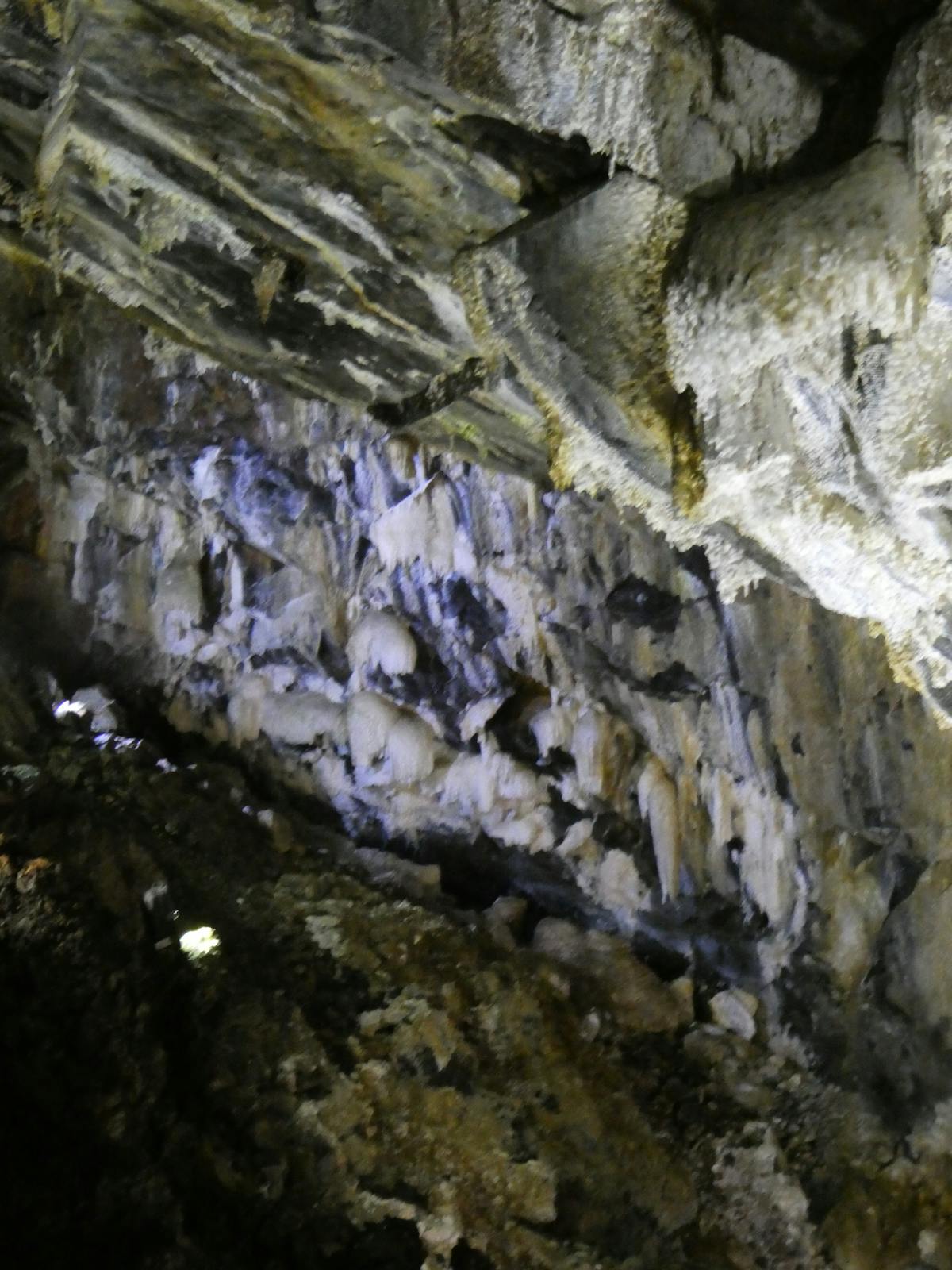 🚨 ¿La FIFA se está metiendo en la Liga MX sin saber c...