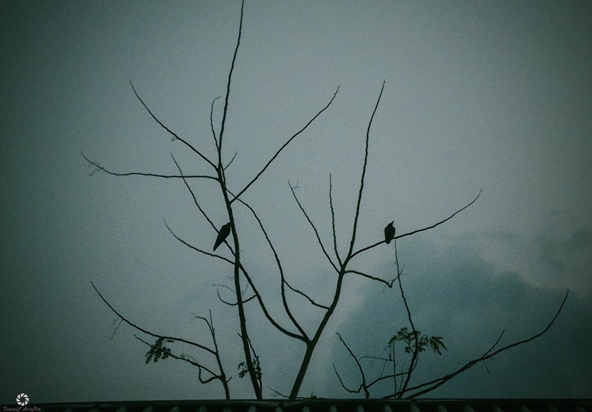 🤖 ¿Están Listas las Agencias de Ciberseguridad del Gobierno?