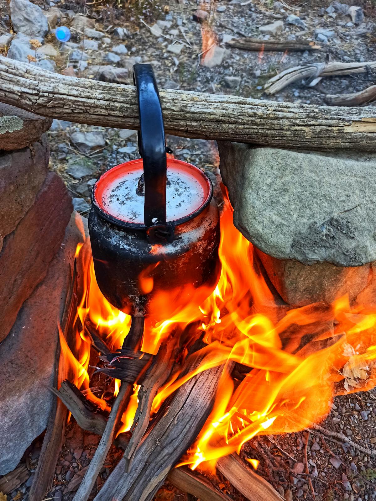 iPhone 17e: ¿Te Dices que Es el Perfecto Equilibrio de Calidad...