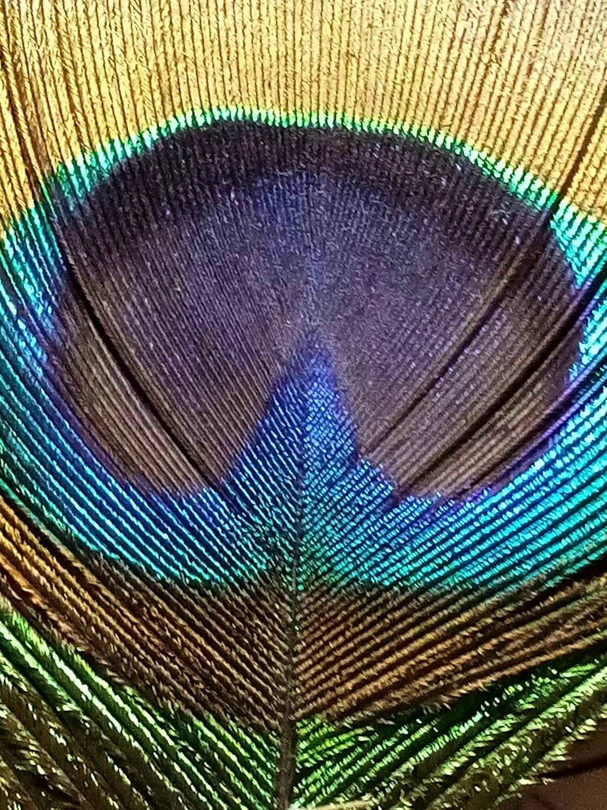 ¿Levanta a quién se te da bien? 🤷‍♂️