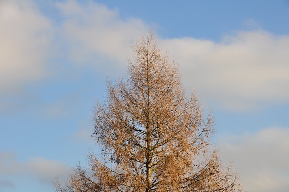 🚨 ¿La policía colombiana está en Instagram o en el patio de tu...