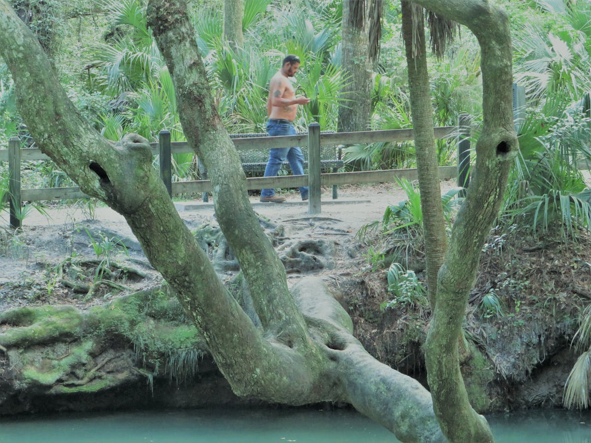 🕰️ ¡¿A qué hora termina Eladio Carrion y ya me voy a mi cita d...