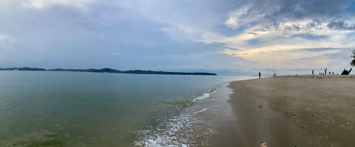 ¿El arroz blanco es la verdura de los carbohidratos? 🤯