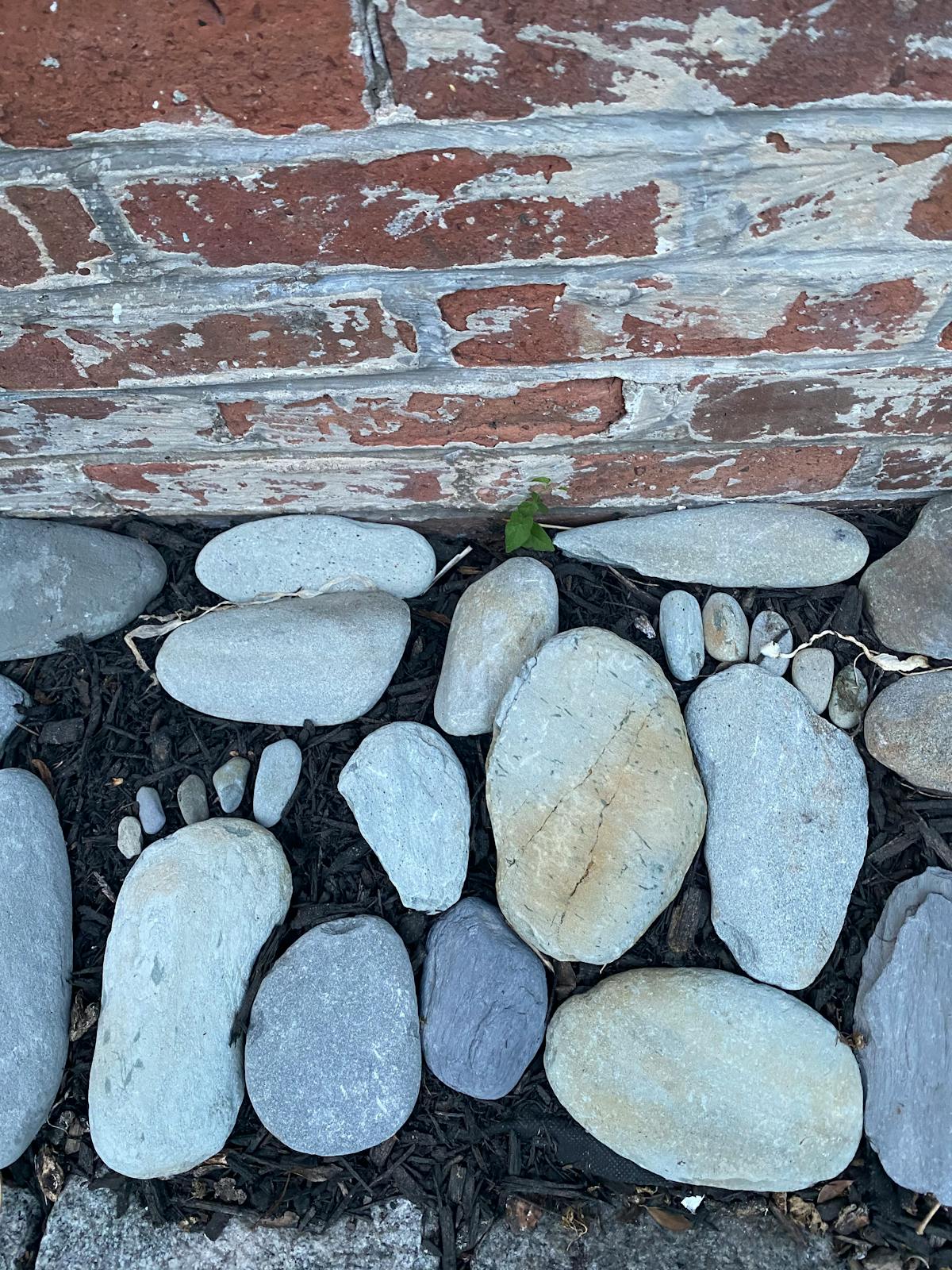 Neta, ¿250 empleos en el campo de la belleza? ¡Esto es oro! 🧴