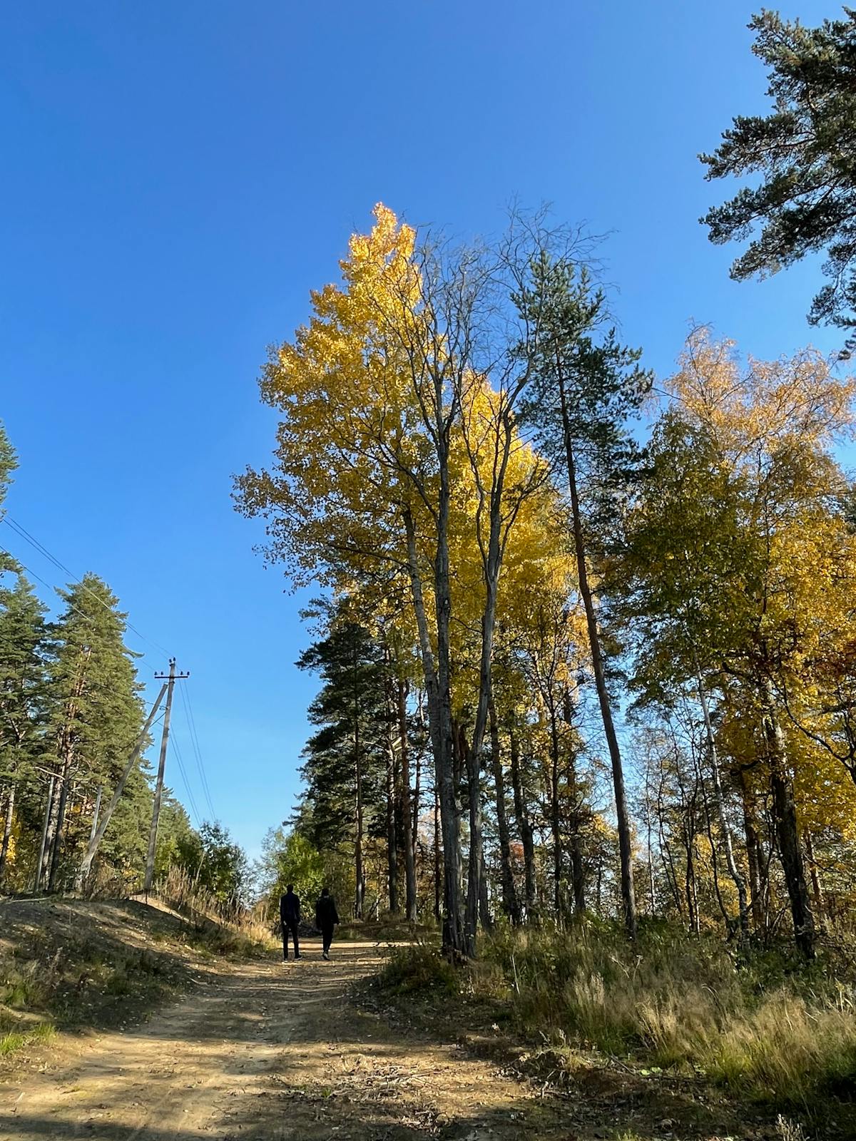 🚨 ¿Drones Iránidos Estafan a Abu Dabi?