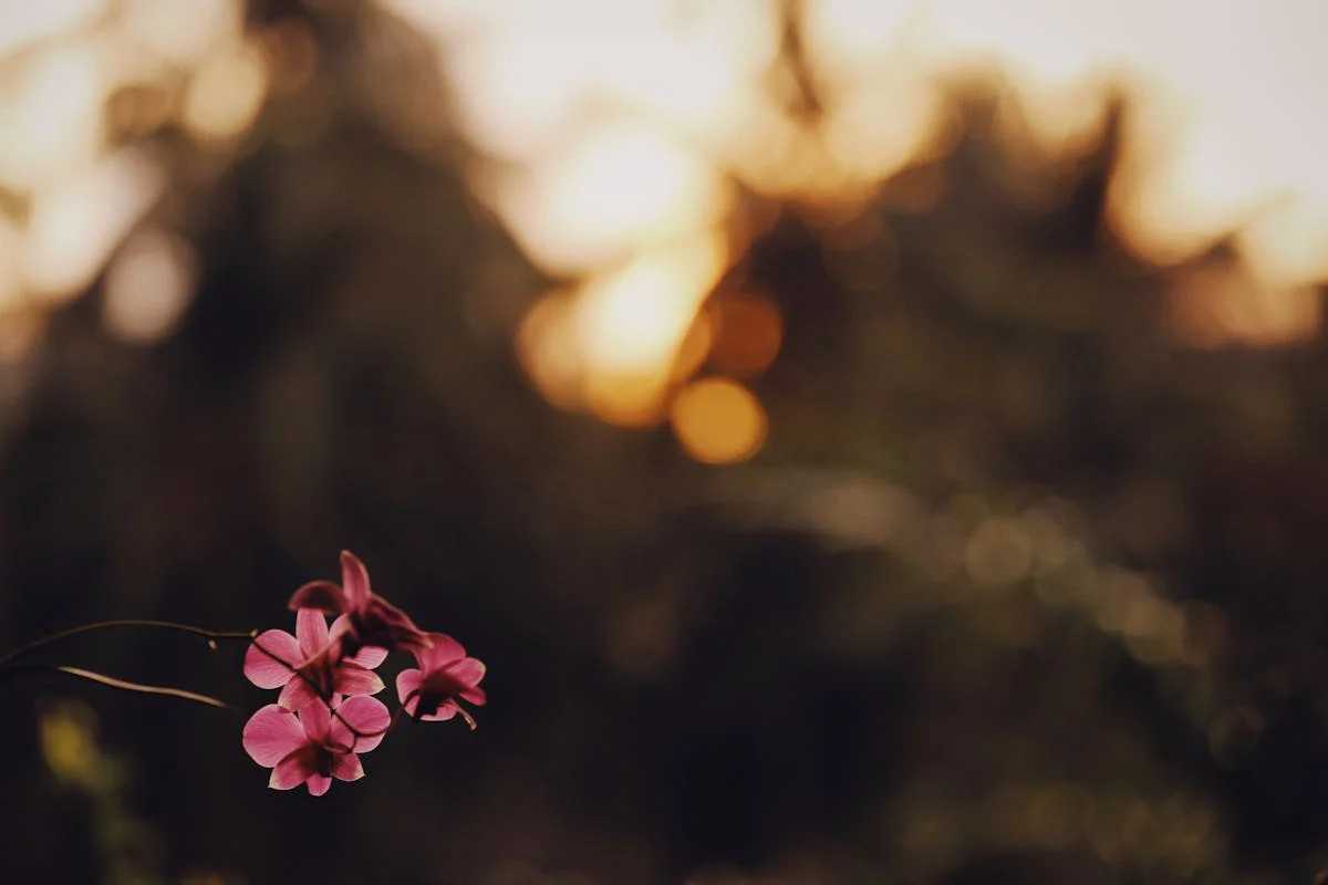 No te pases de perfume, pero sí de calidad: ¿Pamela Genini aho...