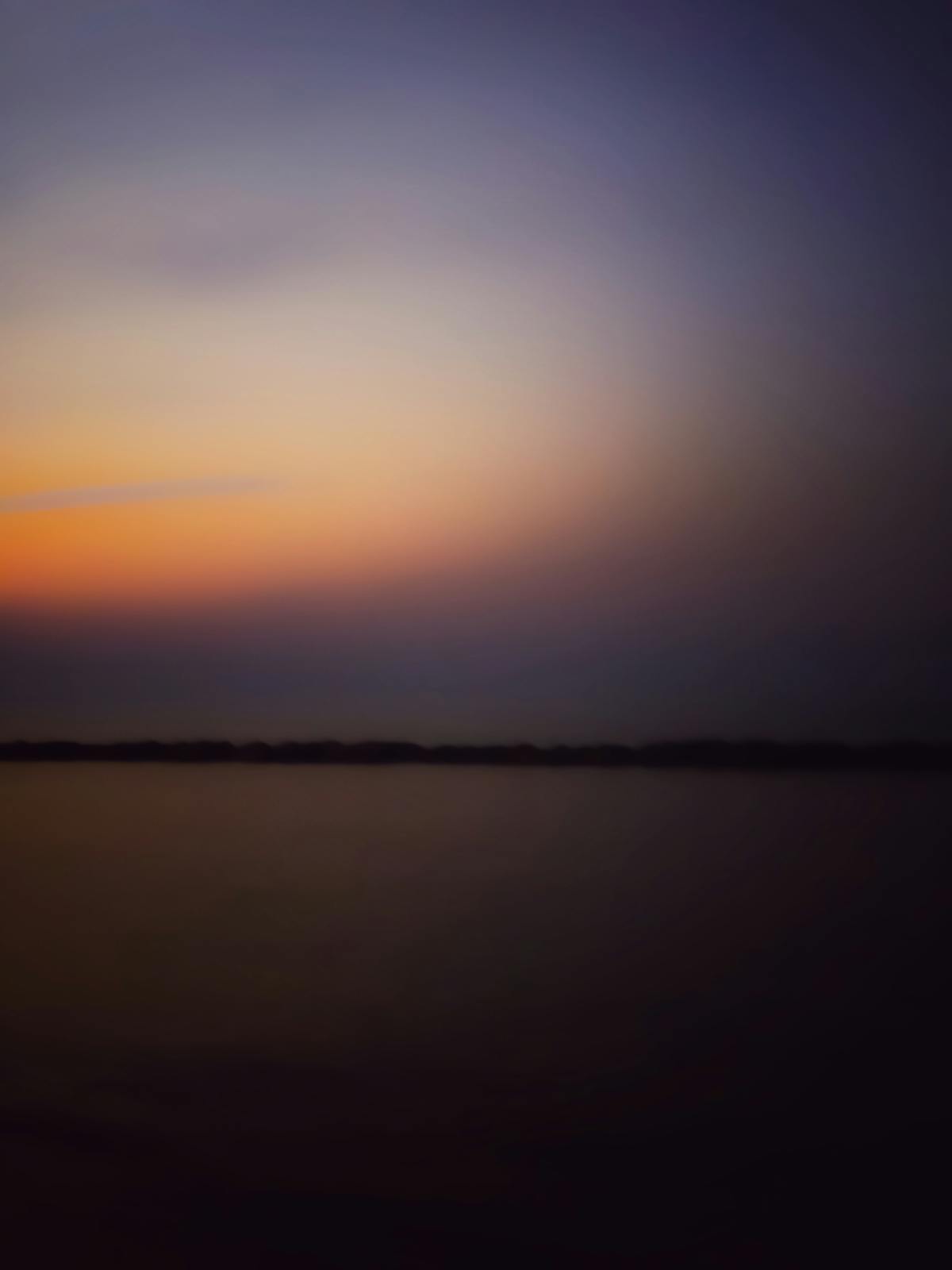 🤔 ¿La Administración Pública Nacional Se Rinde a la Corrupción?