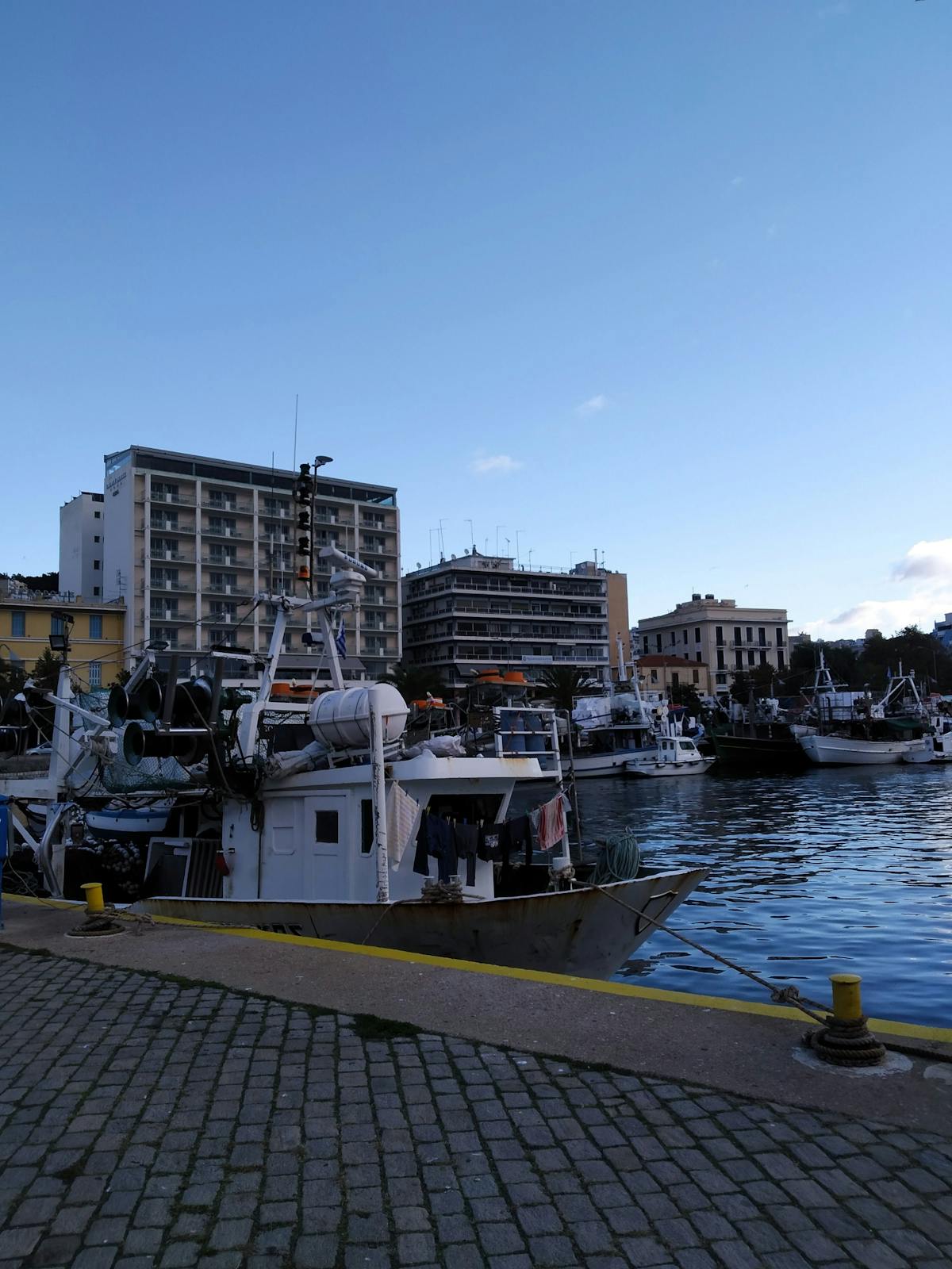 🤯 ¿Eres humano o Therian? ¡La verdad está en las redes!