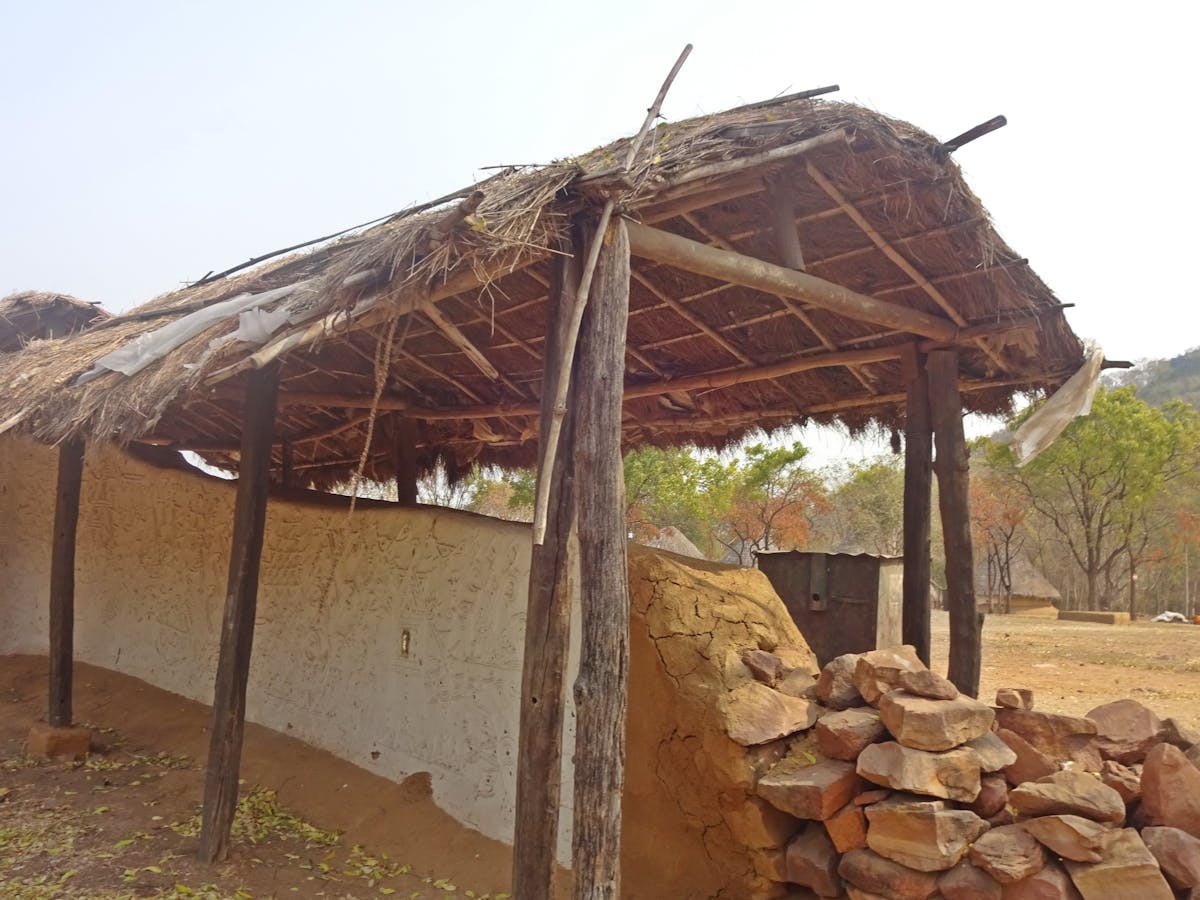 ¿Fútbol o Sangre? 🏆😷