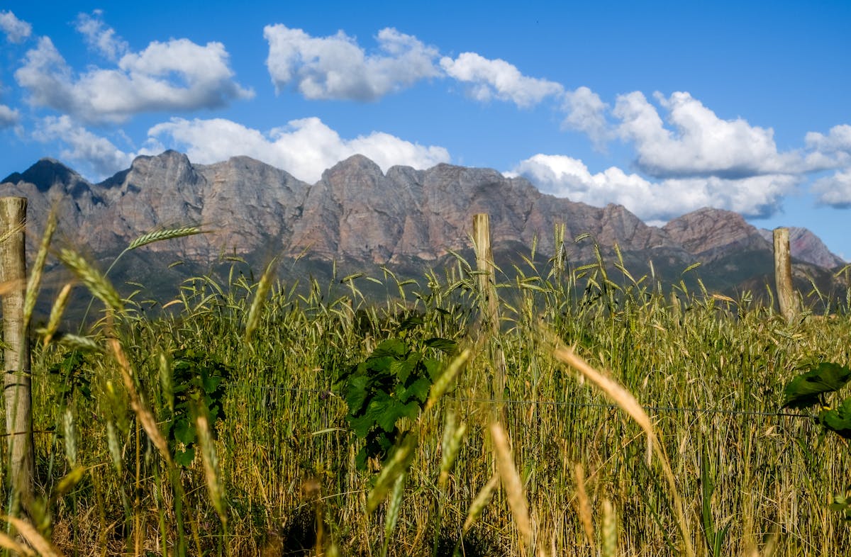 ¿Esto es oro o un desastre? 🤯 $1.000 millones de pérdidas ...