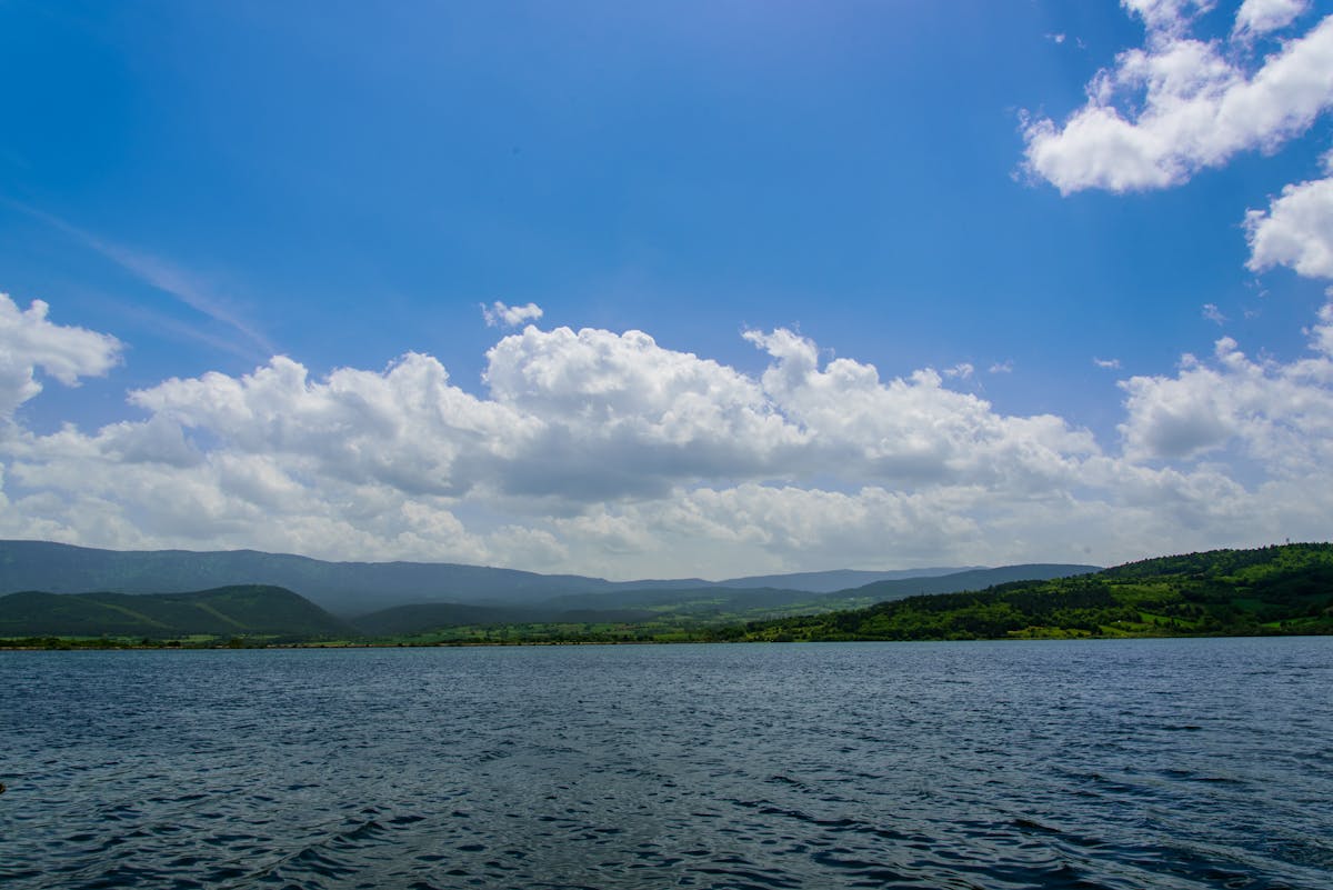 🚫 ¿ICE se olvidó de que las madres también necesitan atención ...