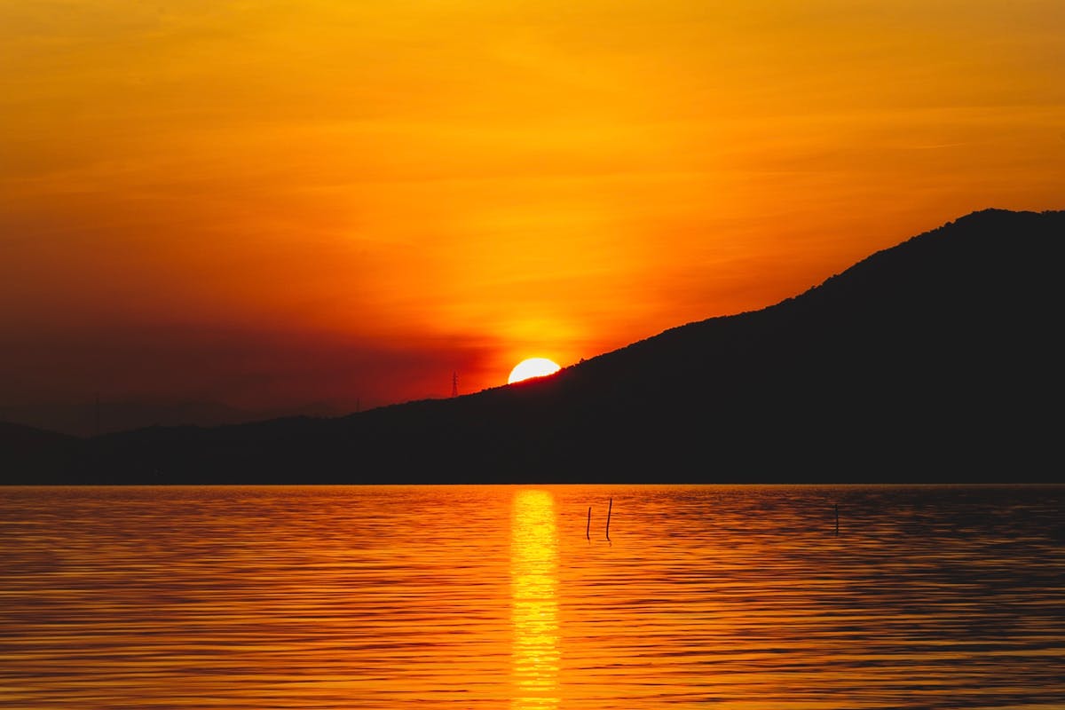 🤯 ¿Tu Cerebro Se Rinde Cuando No Sabes Qué Pasar?