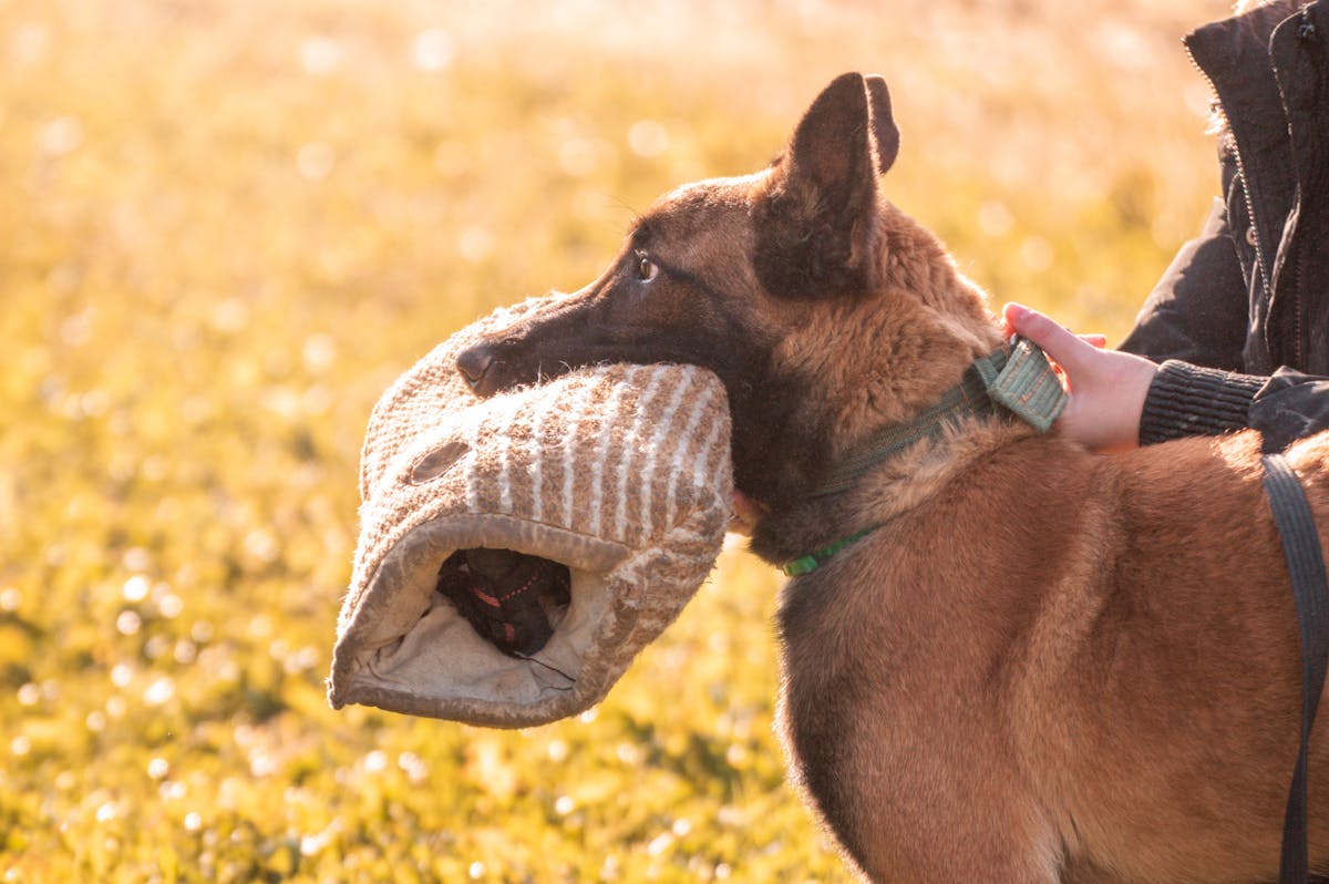 ¿Las Cocinas Abiertas Son Solamente un Espejismo? 🤡