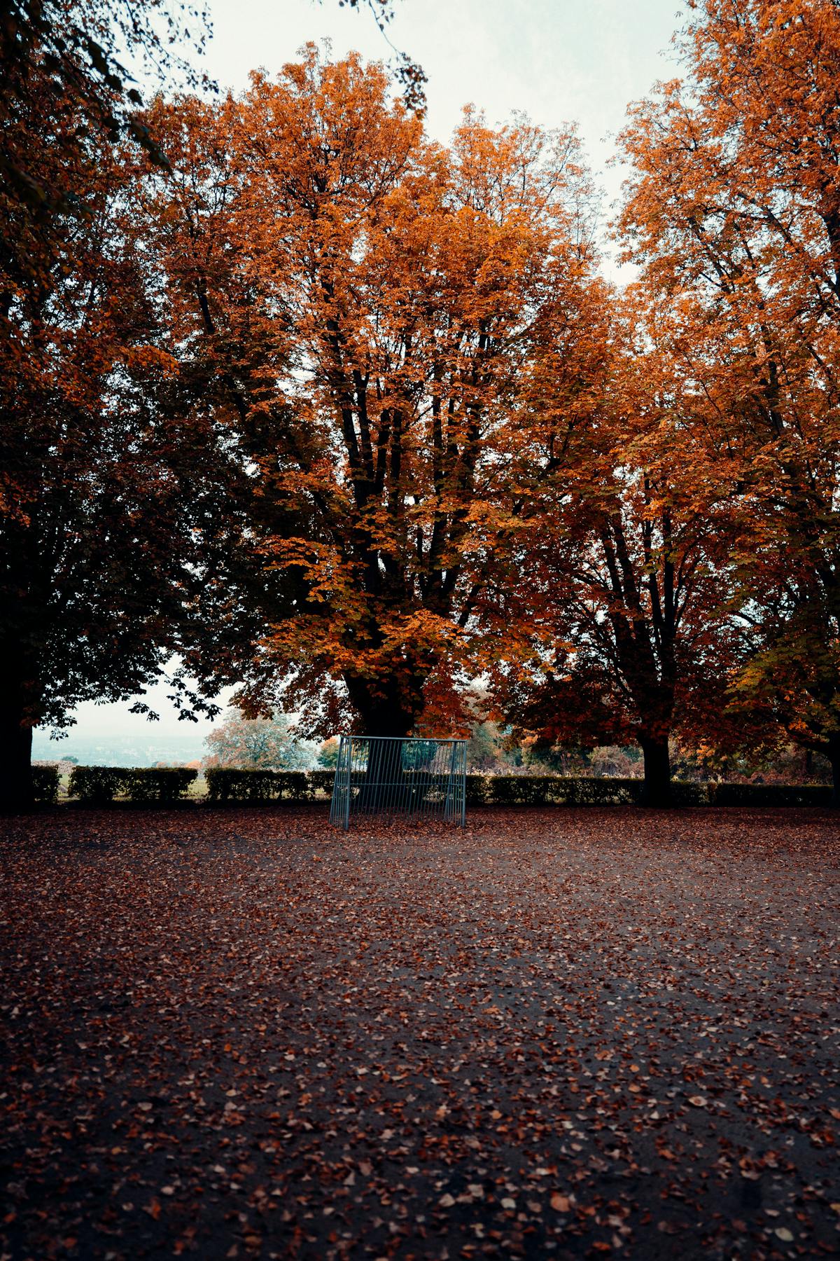 ¿Britney Spears Está Salvada o Solo Fue Liberada? 🚩