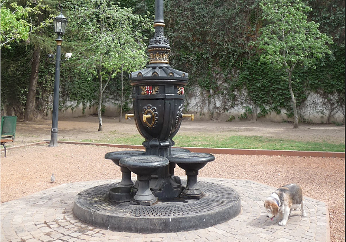 ¿Buenos Aires, pero Catalán? 🇪🇸 ¿Es esto un giro o un desastre?