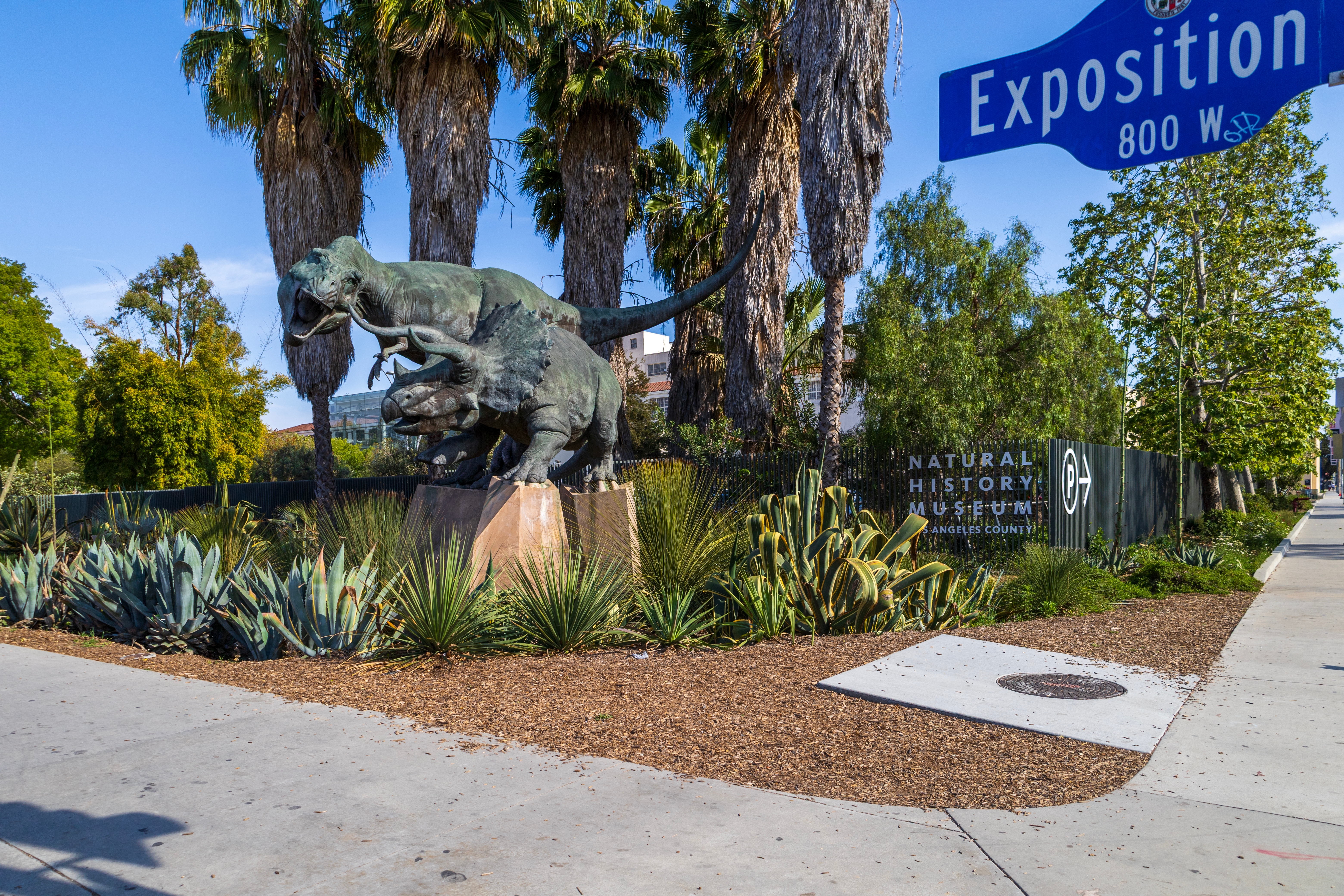 ¿Qué Pasó con la Vida de Lucha Libre en LA? 🤯 del 5 al 11 de f...