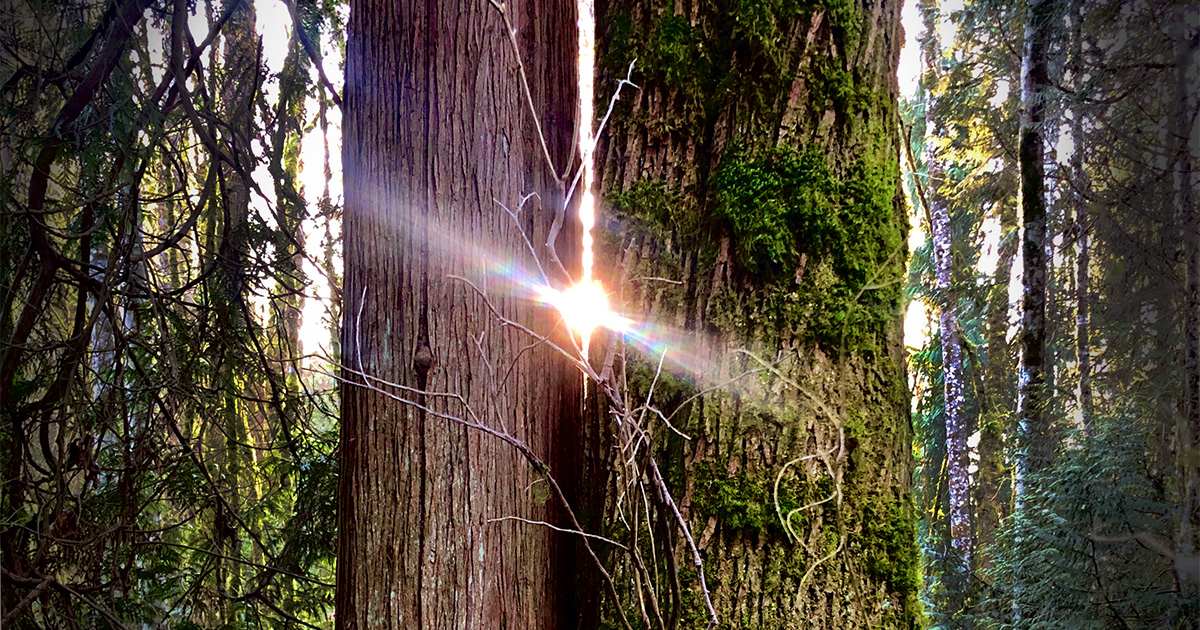 ¿Amor a Prueba de Hacker? 💻 Los Poemas más Románticos Ahora ...