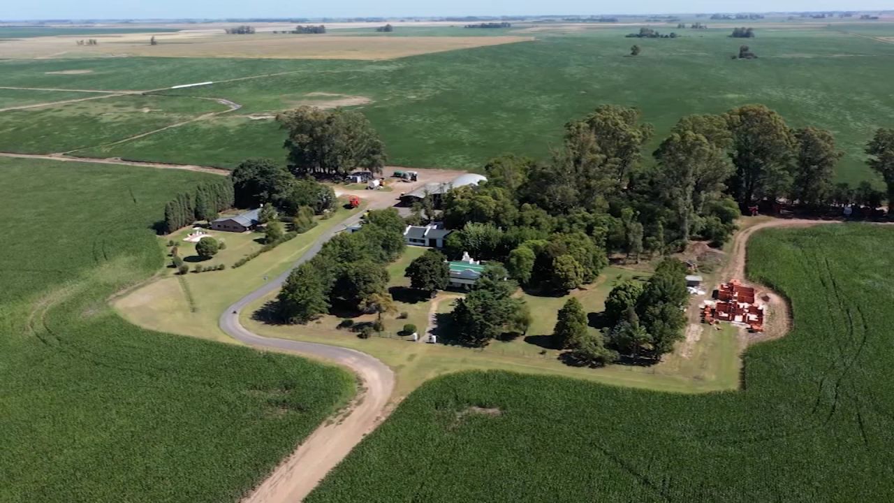 ¿Soja China o Soja USA? ¿La Argentina se alinea con el mun...