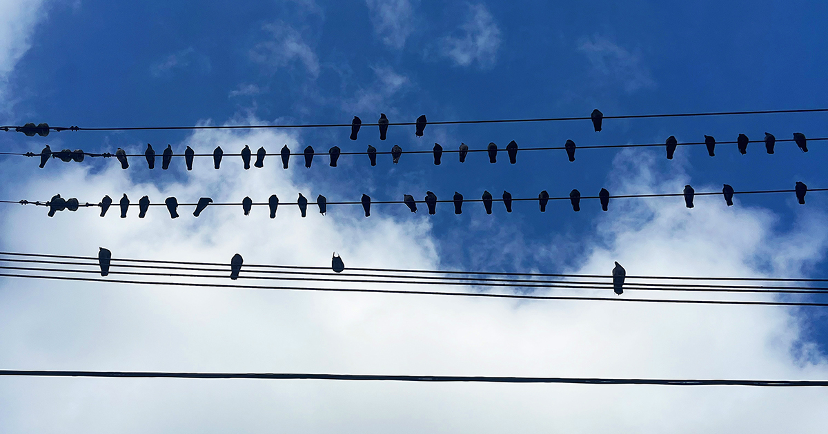 ¡La música es gratis, pero ¿quién paga el ransomware? 🚩