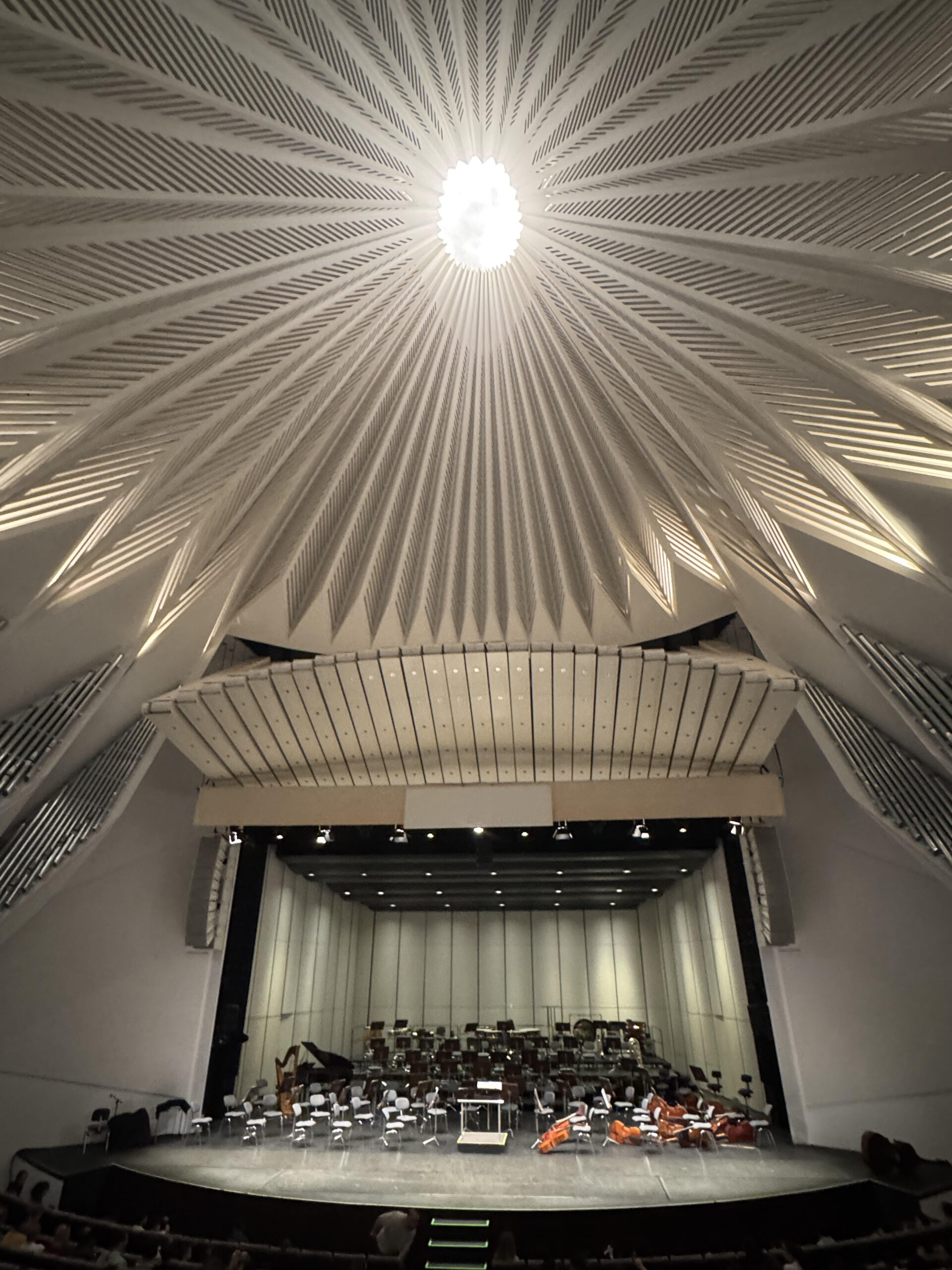 🎵 ¿Concierto de Tenerife es Gratis para Primaria?