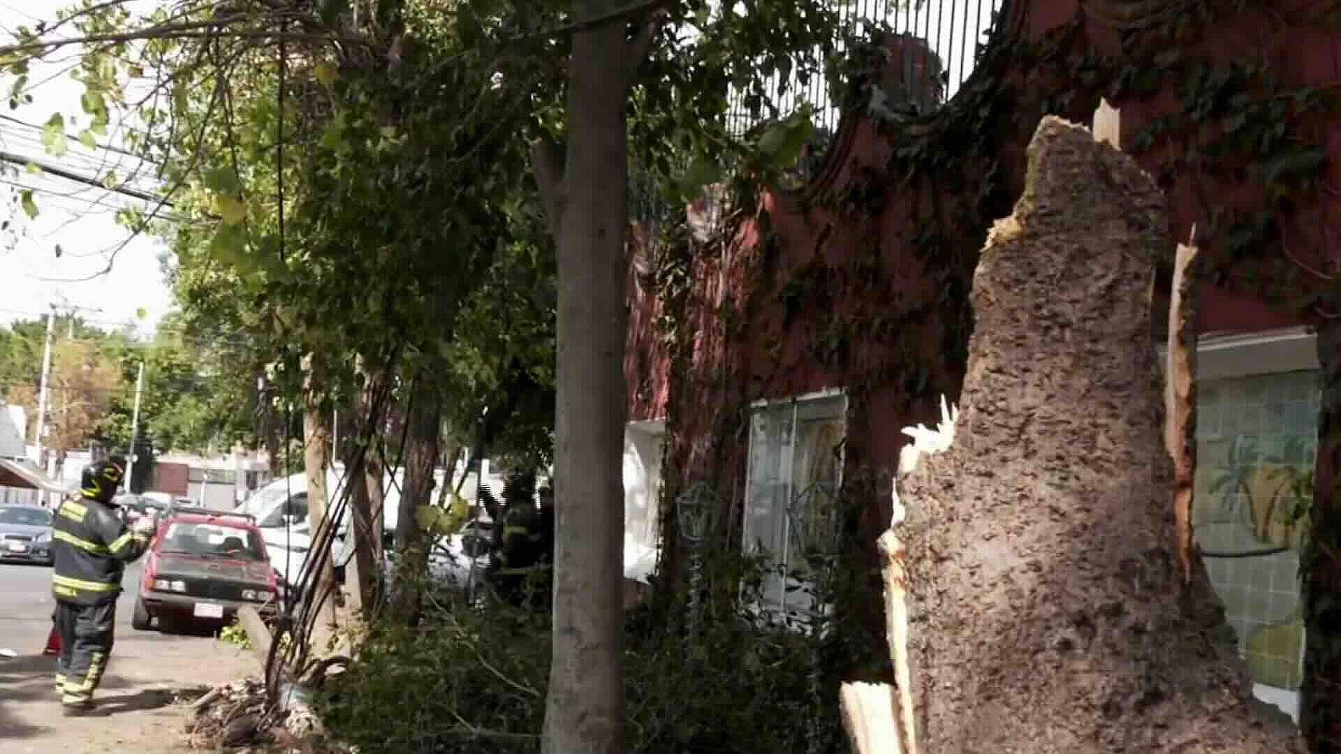 🚨 ¿El Tráiler Derribó los Postes y los Vecinos se Ponen en Evi...