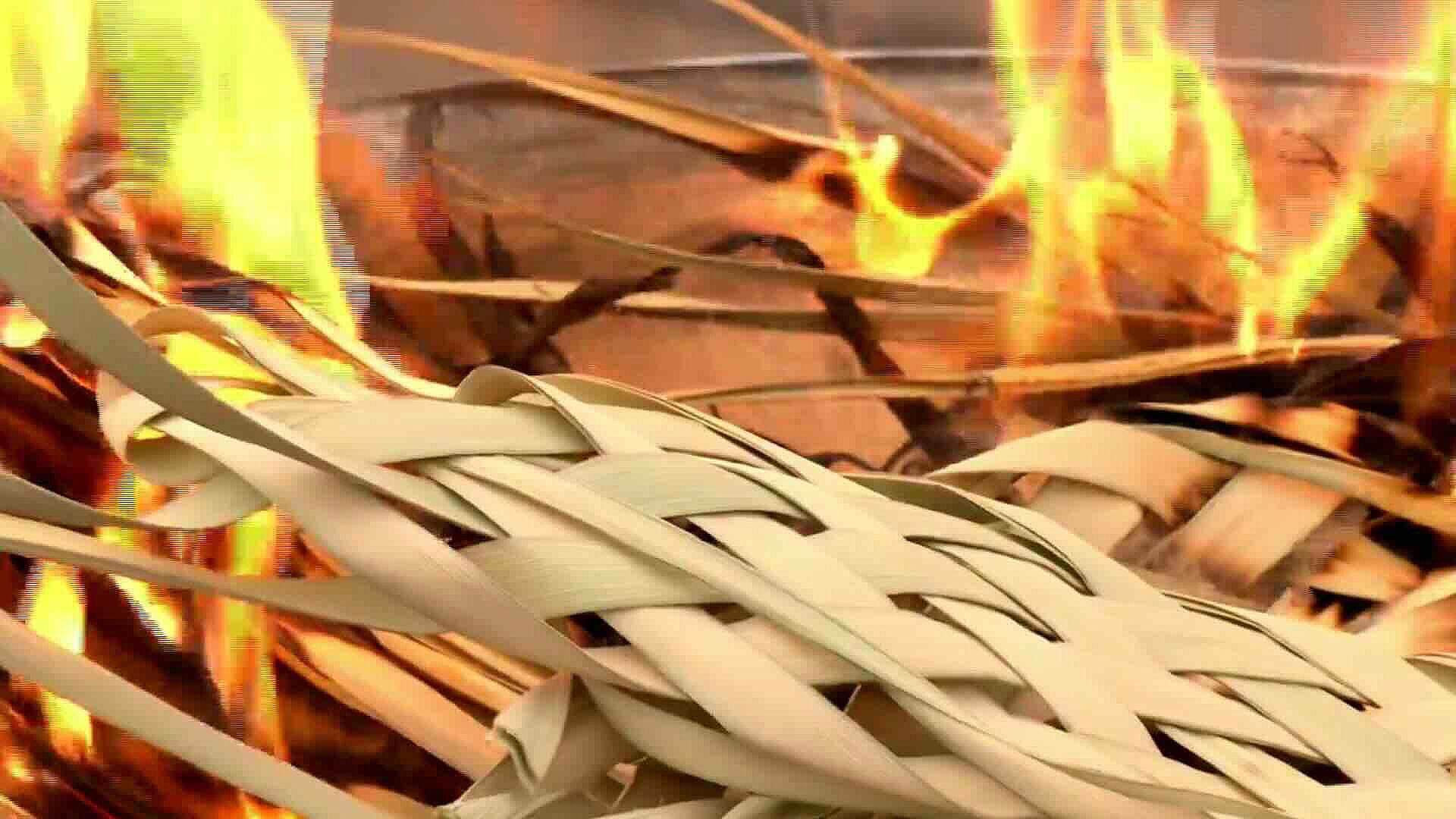 ¿Quién Acaba de Quemar Palmas Secas en CDMX para El Miércoles ...