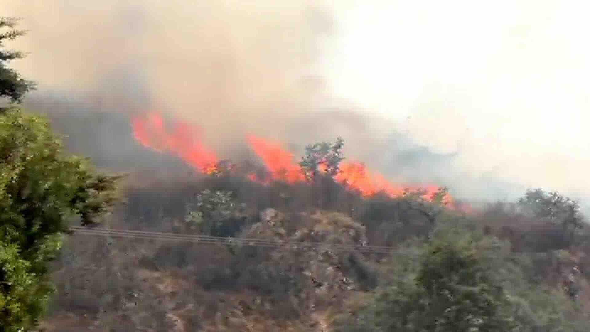 🚨 Incendio en Atizapán: ¿La zona esmeralda se convirtió en zon...