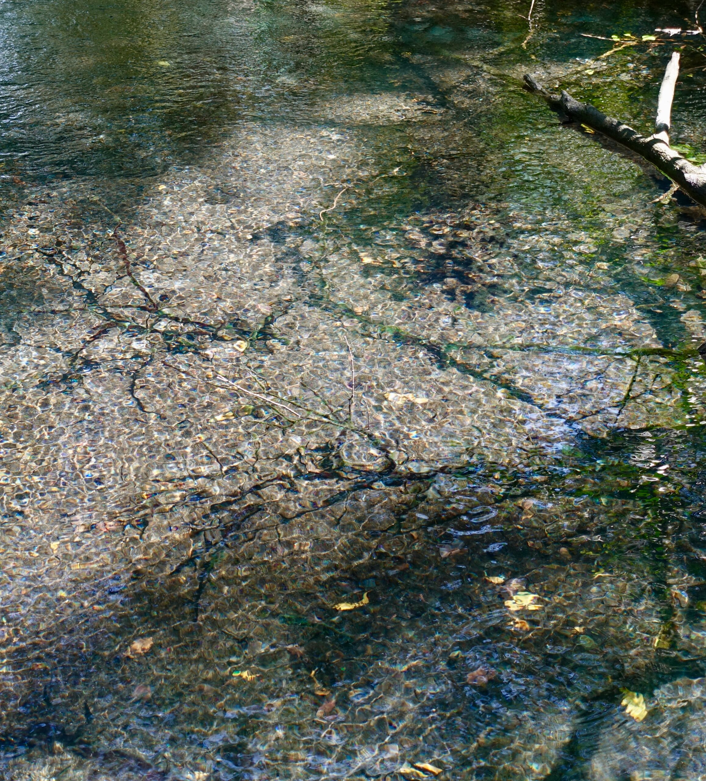 ¿Al Chale? 🚩 ¿Qué es Blockchain y por Qué no Es Solo para Nerds?