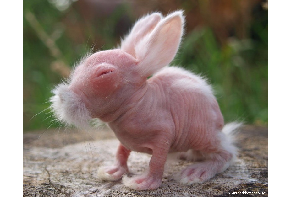 ¿Tu Empresa Tiene Un Plan B o Solo Vive al Límite como Tu...