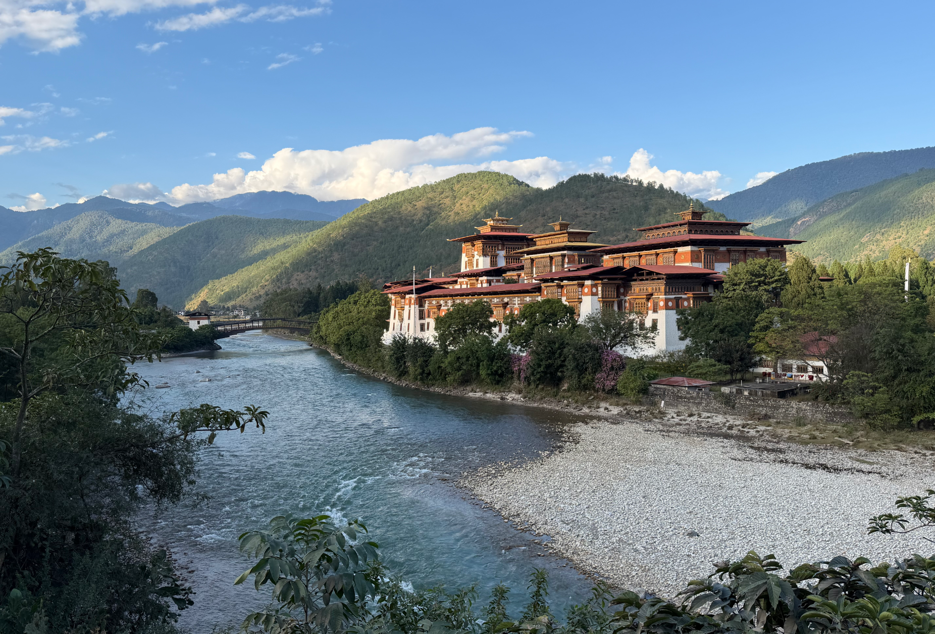 ¡Neta! ¿Sabes qué es un Lab Opt-Out y Por Qué Debes Cuidar...