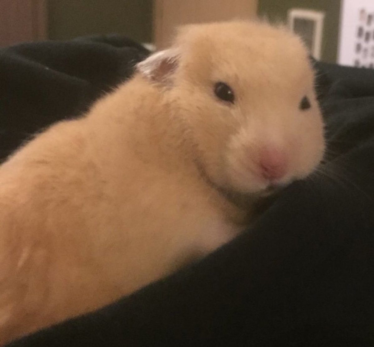 Esto es oro: ¿Tu vida tiene ciberseguridad o solo estás a la e...