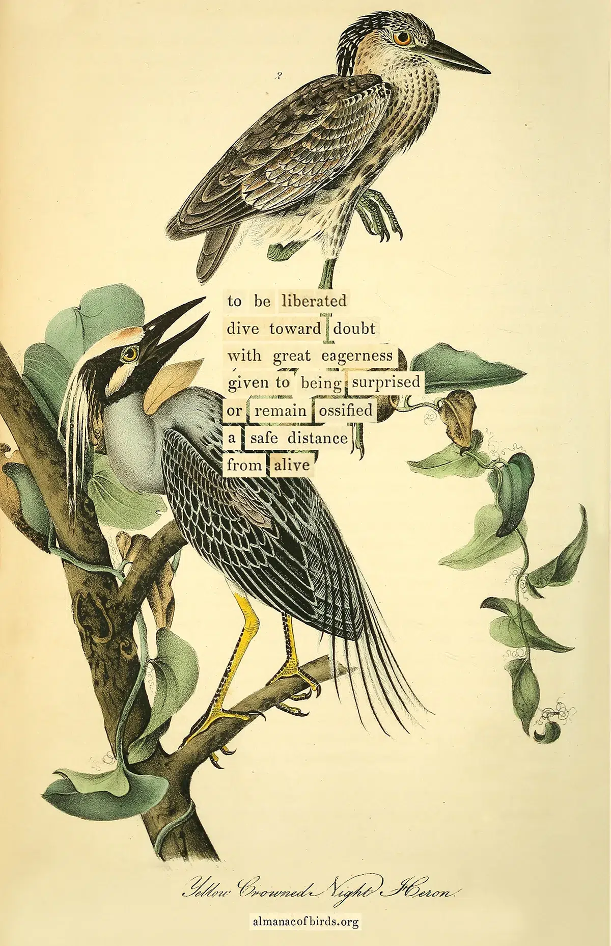 ¿Se Tienen que Decir y Se Dicen? Las Pautas Cuentan 🚩