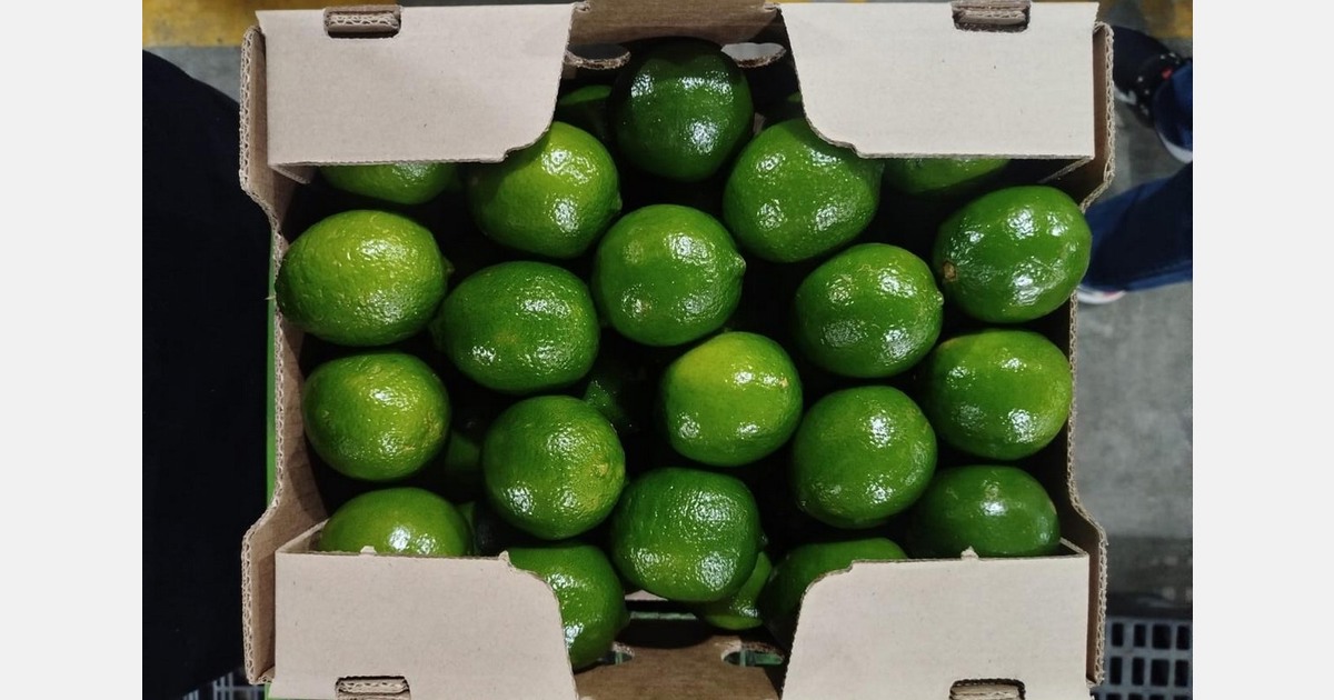 ¿Limas Orgánicas o Exportación? ¿Otra Oportunidad para que...