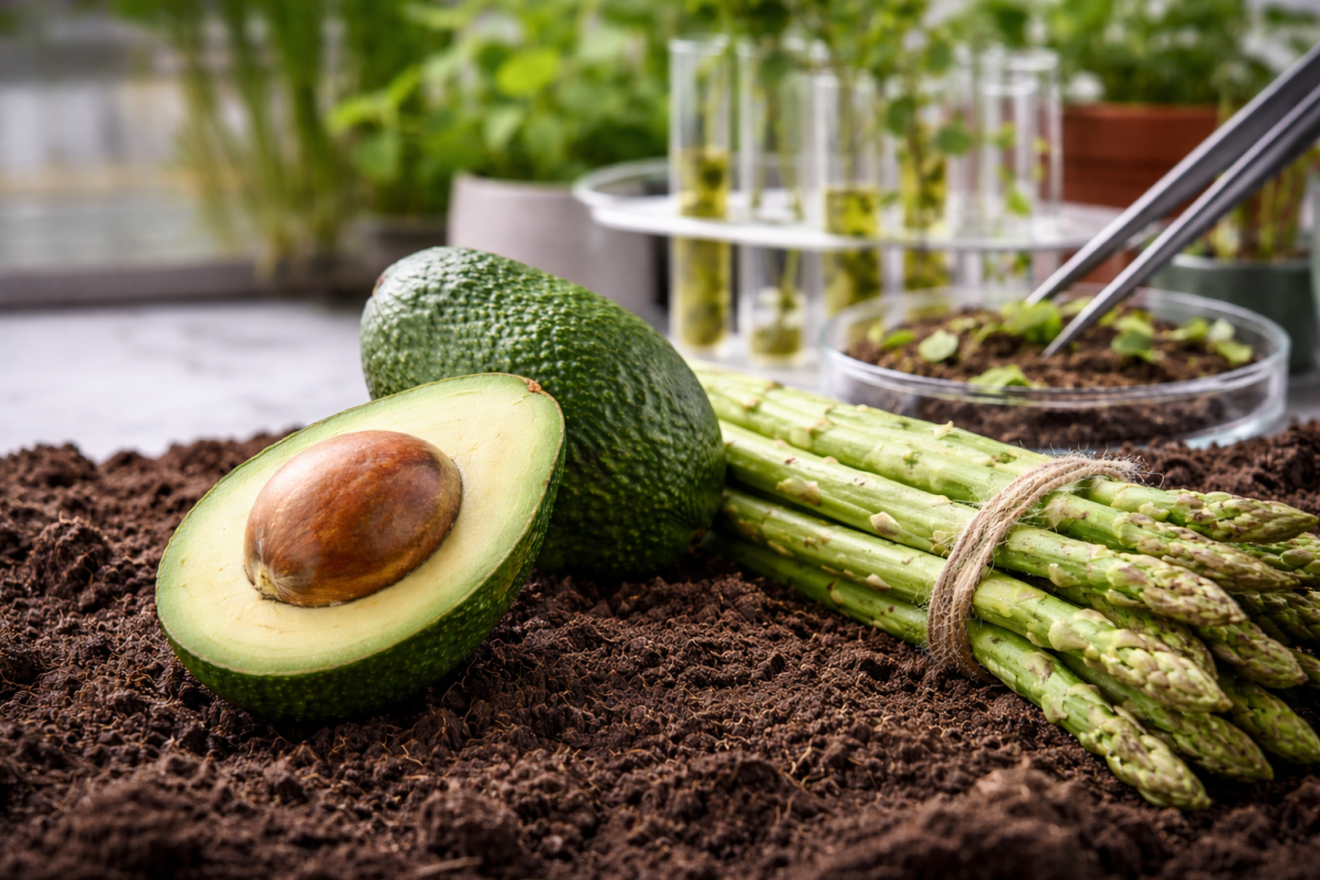 ¿Perú se está preparando para el Big Bang de los cultivos ...